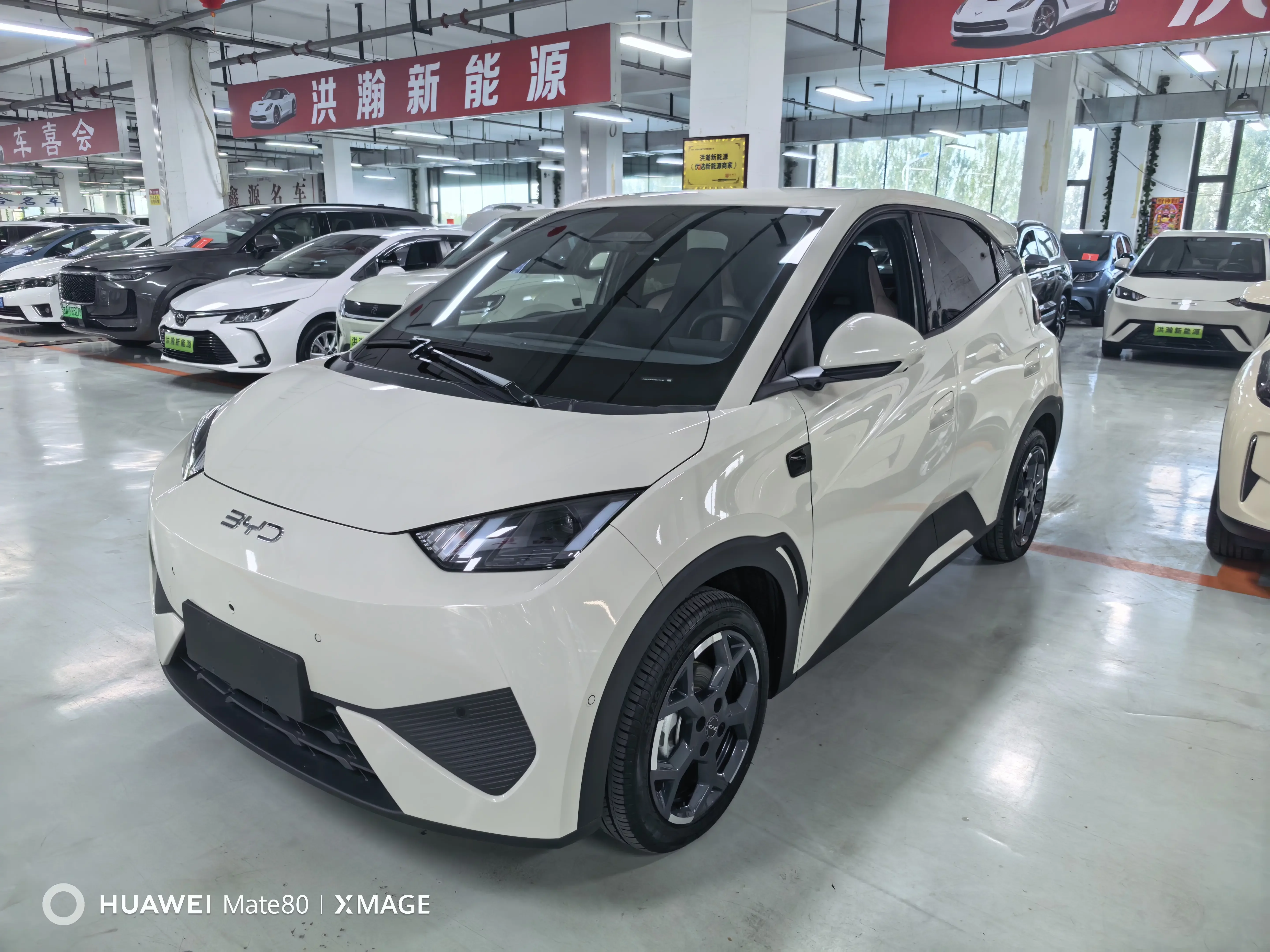 BYD Seagull