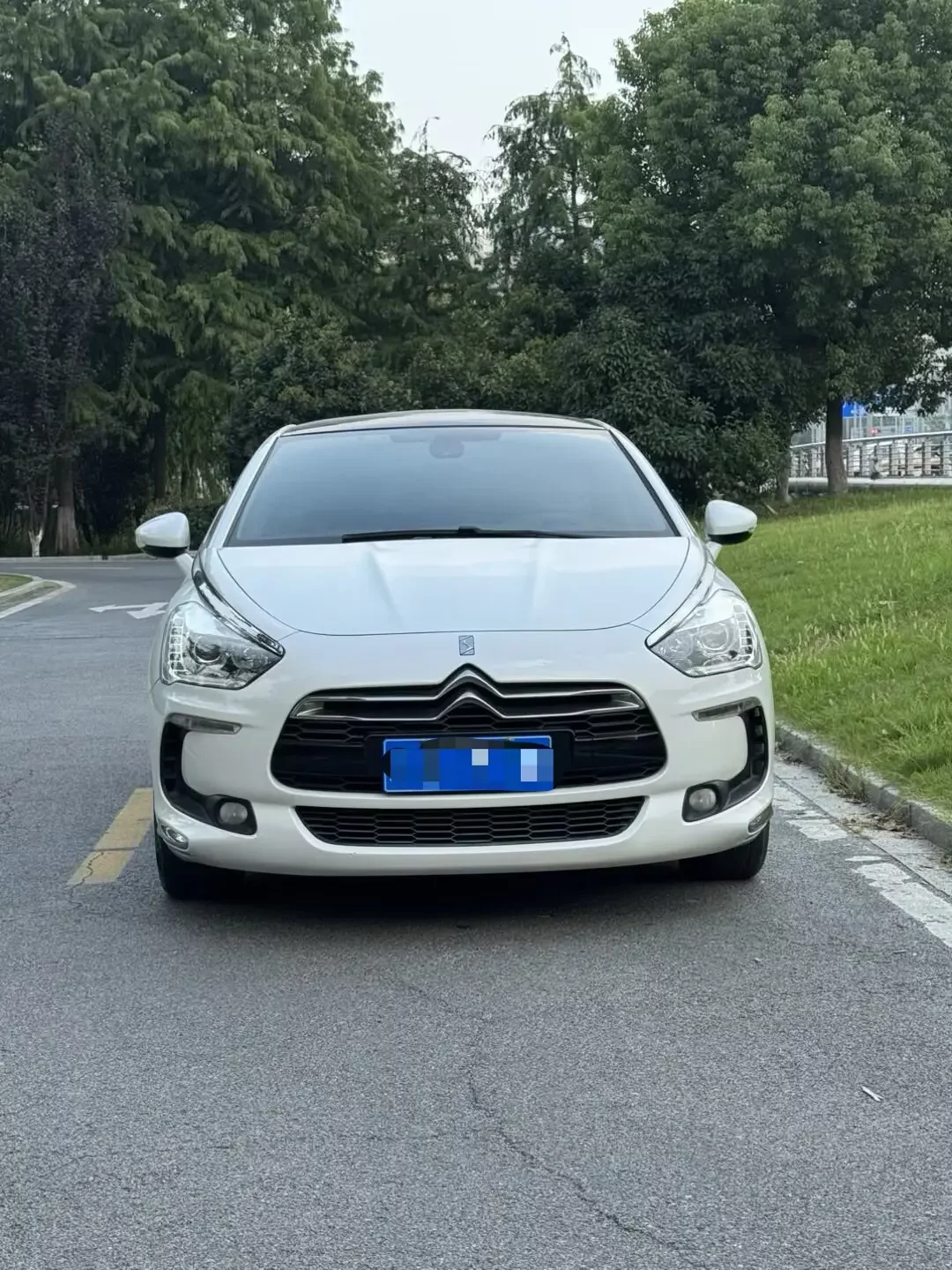 DS 5