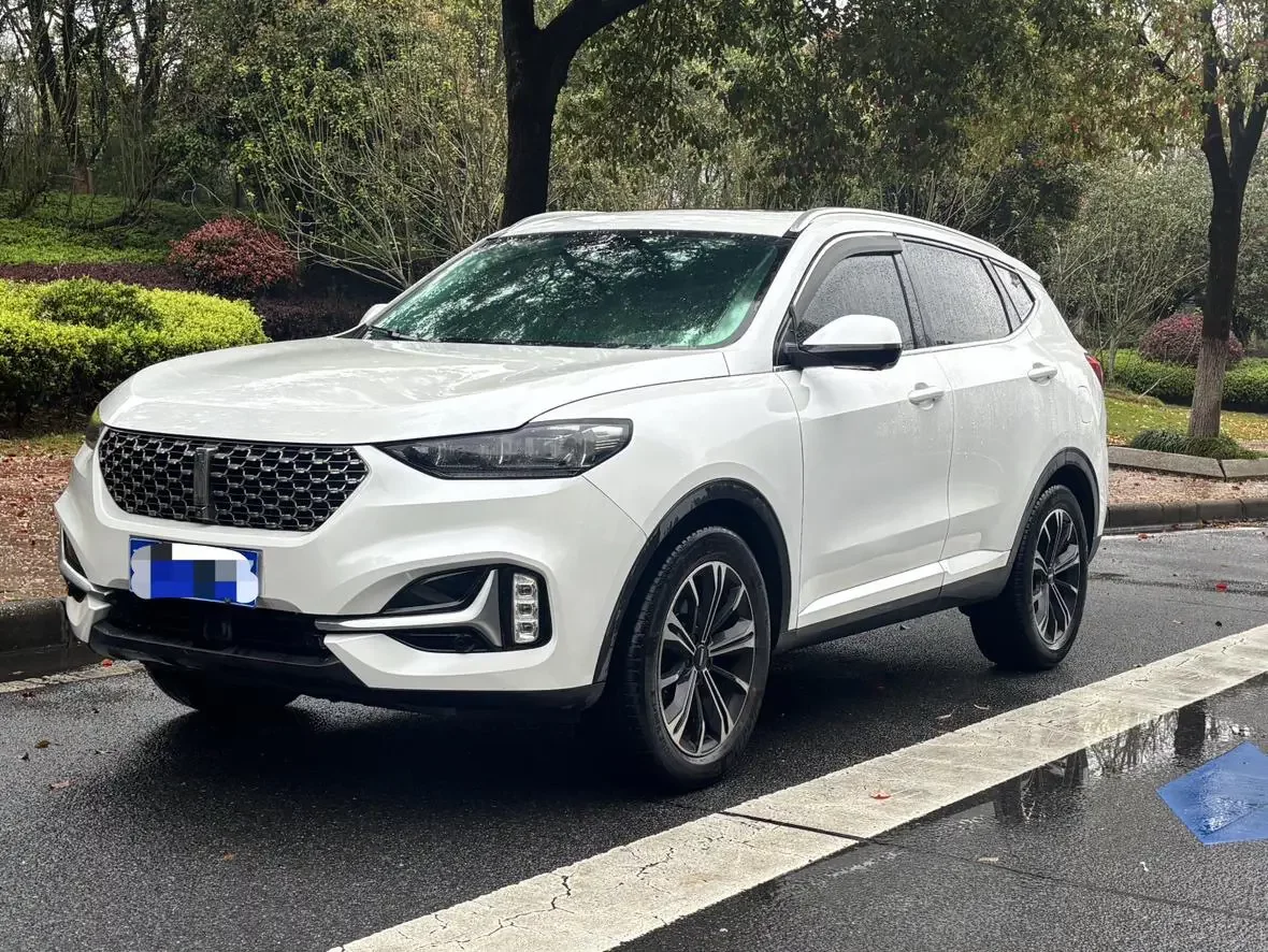 Wey Wei brand VV6