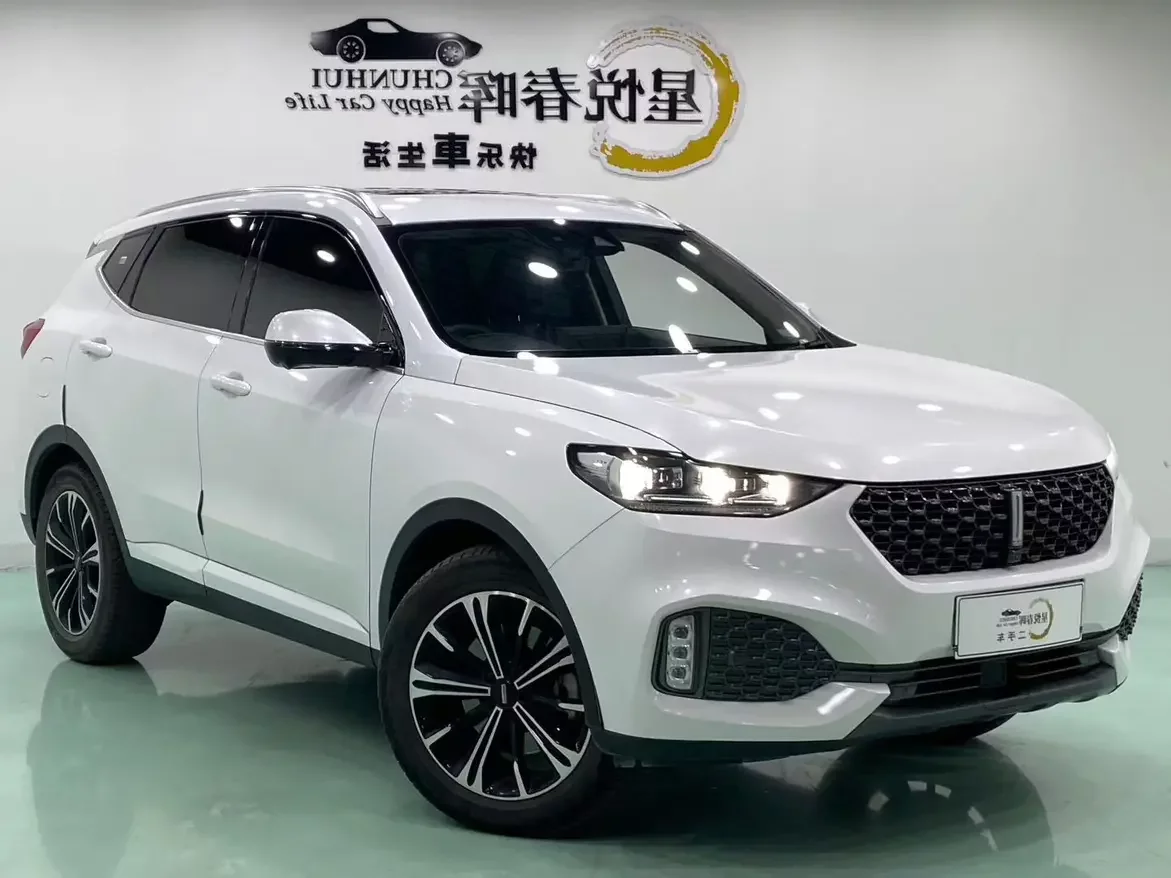 Wey Wei brand VV6