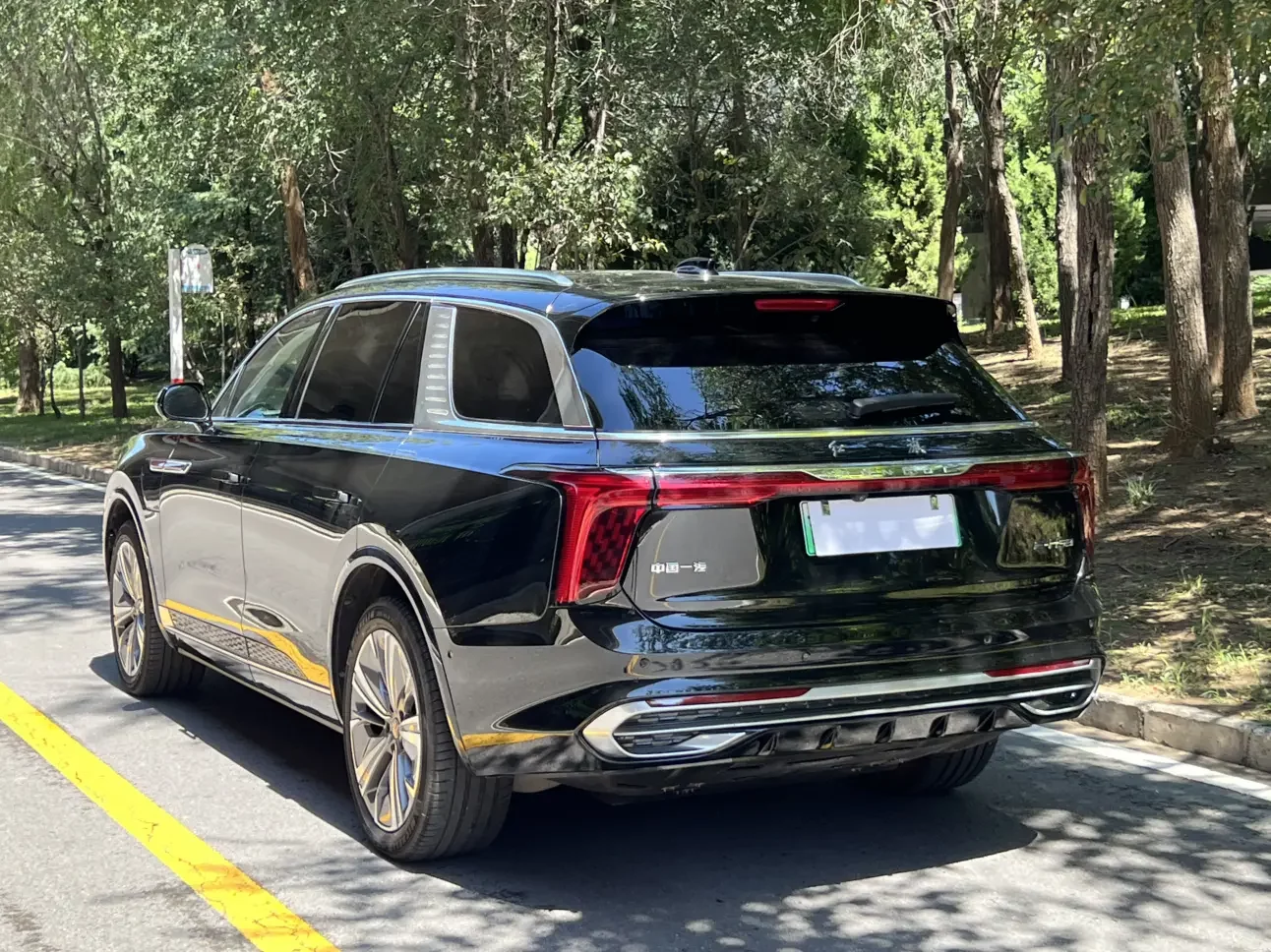 Hongqi E-HS9