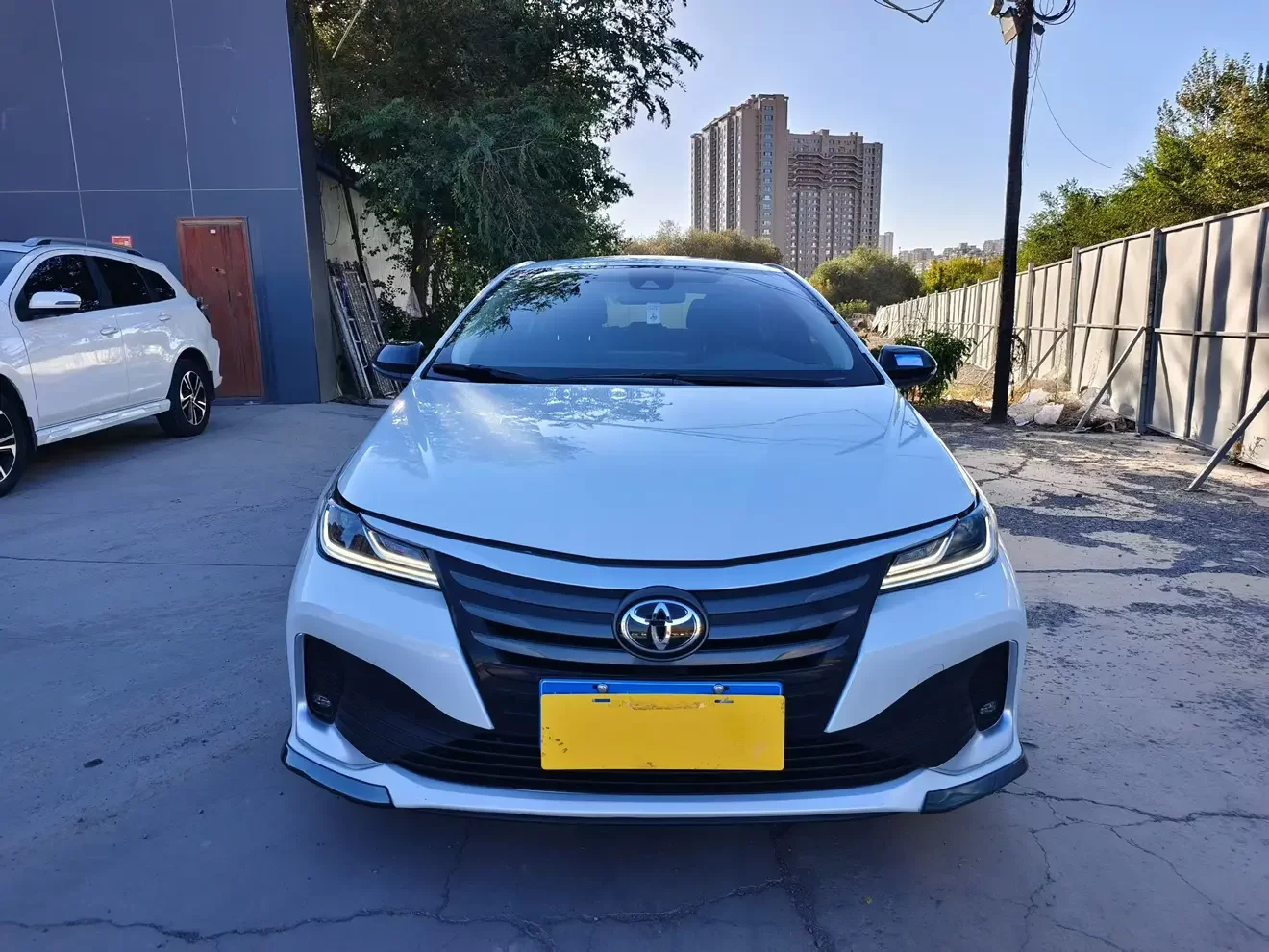 Toyota Asiatic lion