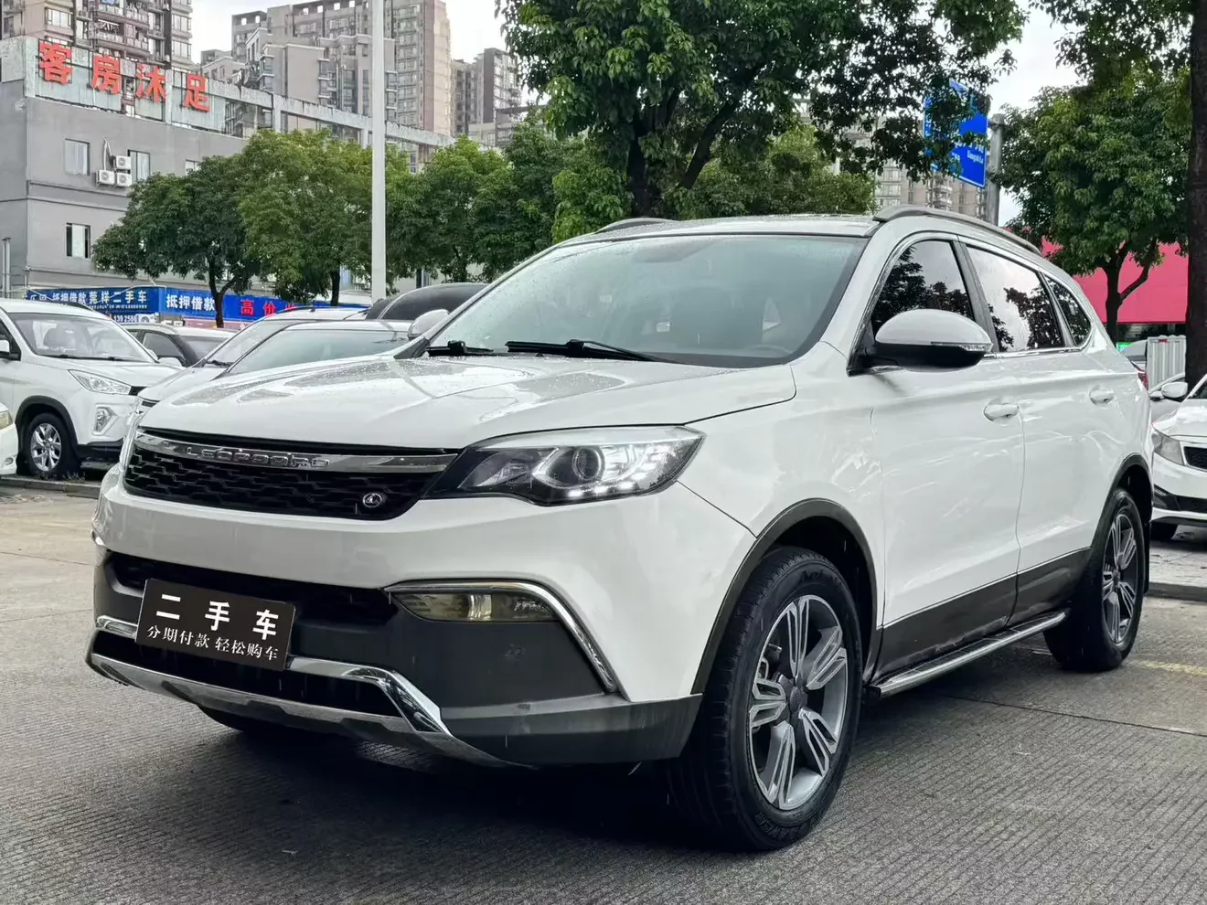 Leopaard Cheetah CS10