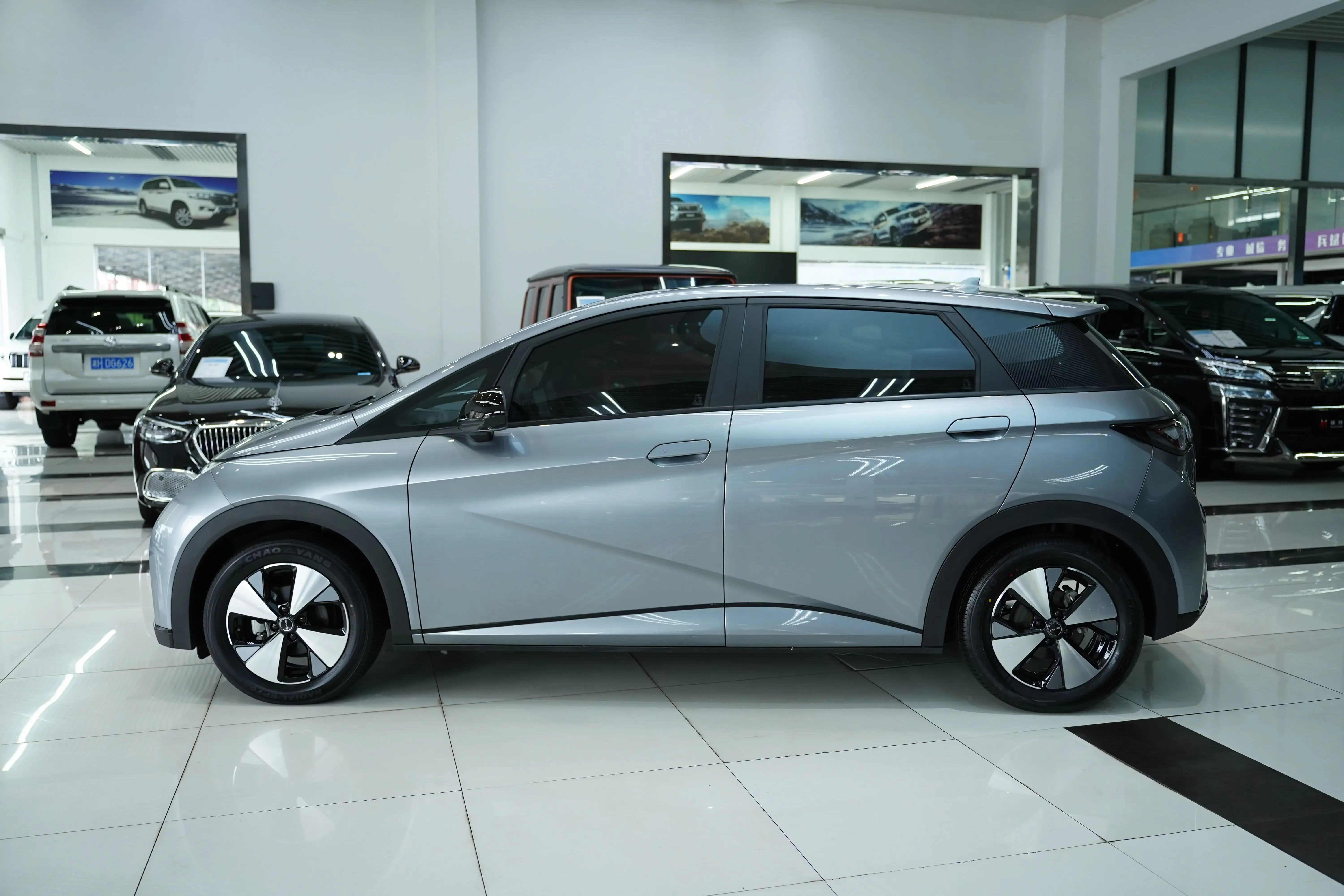 BYD Dolphin