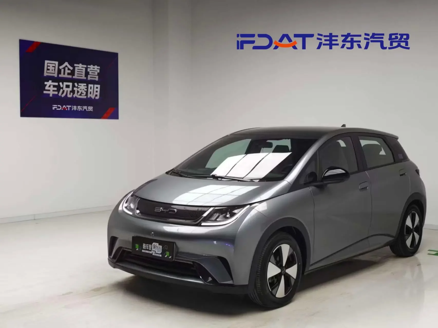 BYD DOLPHIN