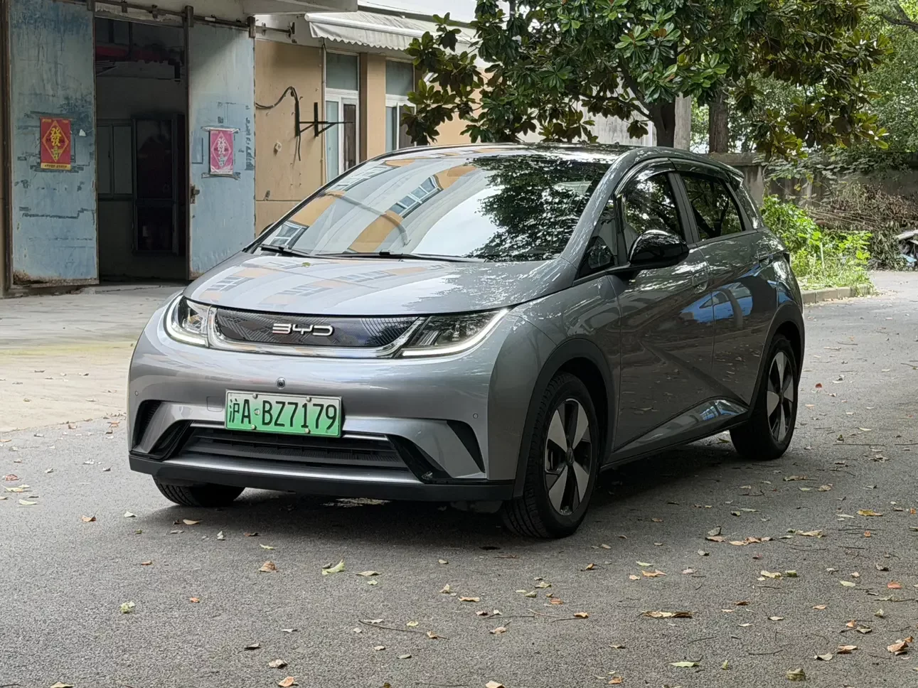 BYD Dolphin
