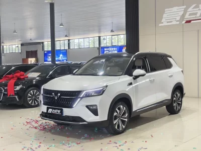 Wuling Star