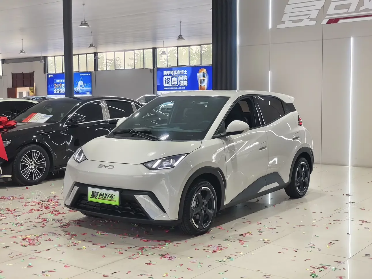 BYD Seagull