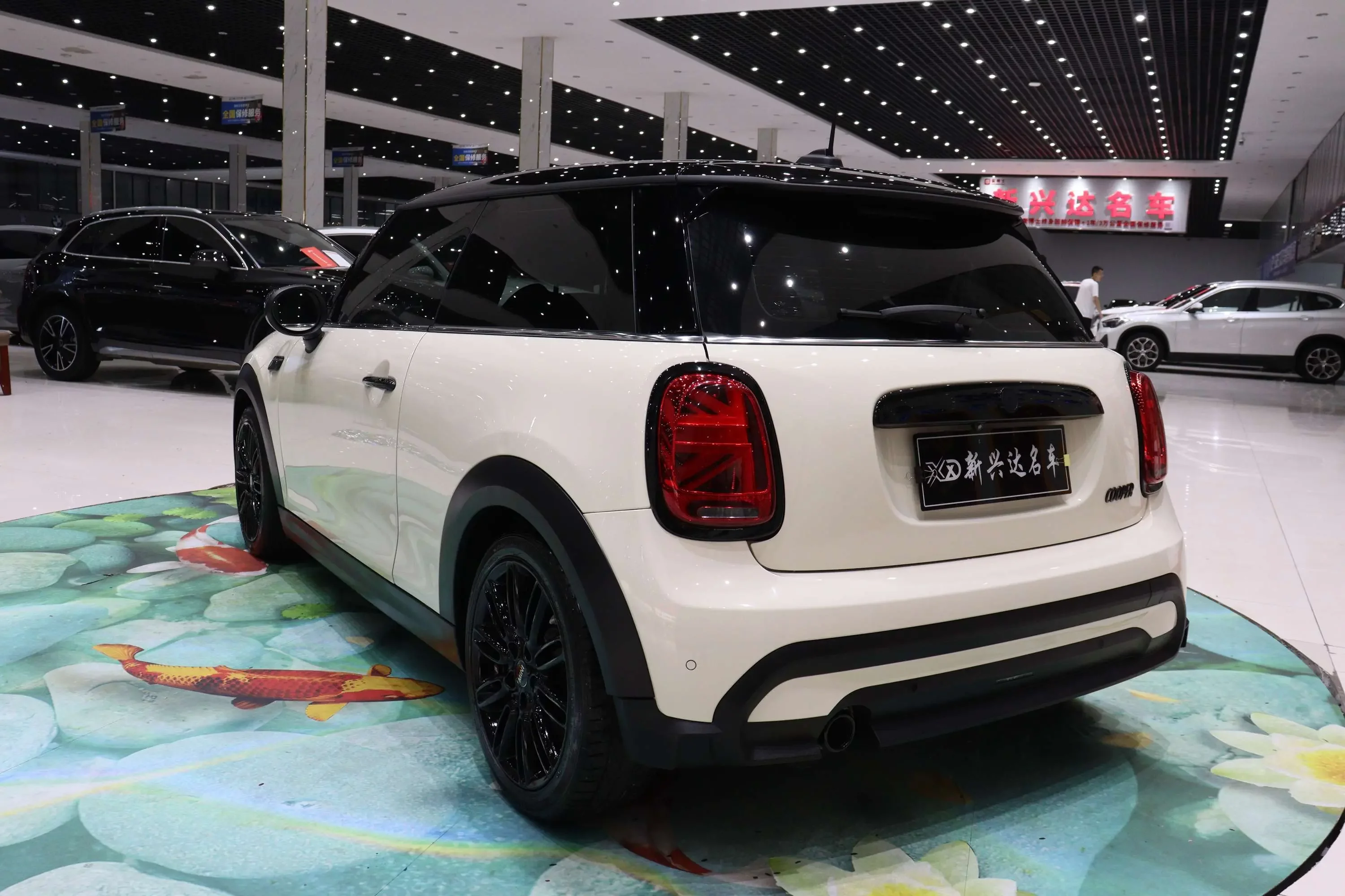 MINI MINI