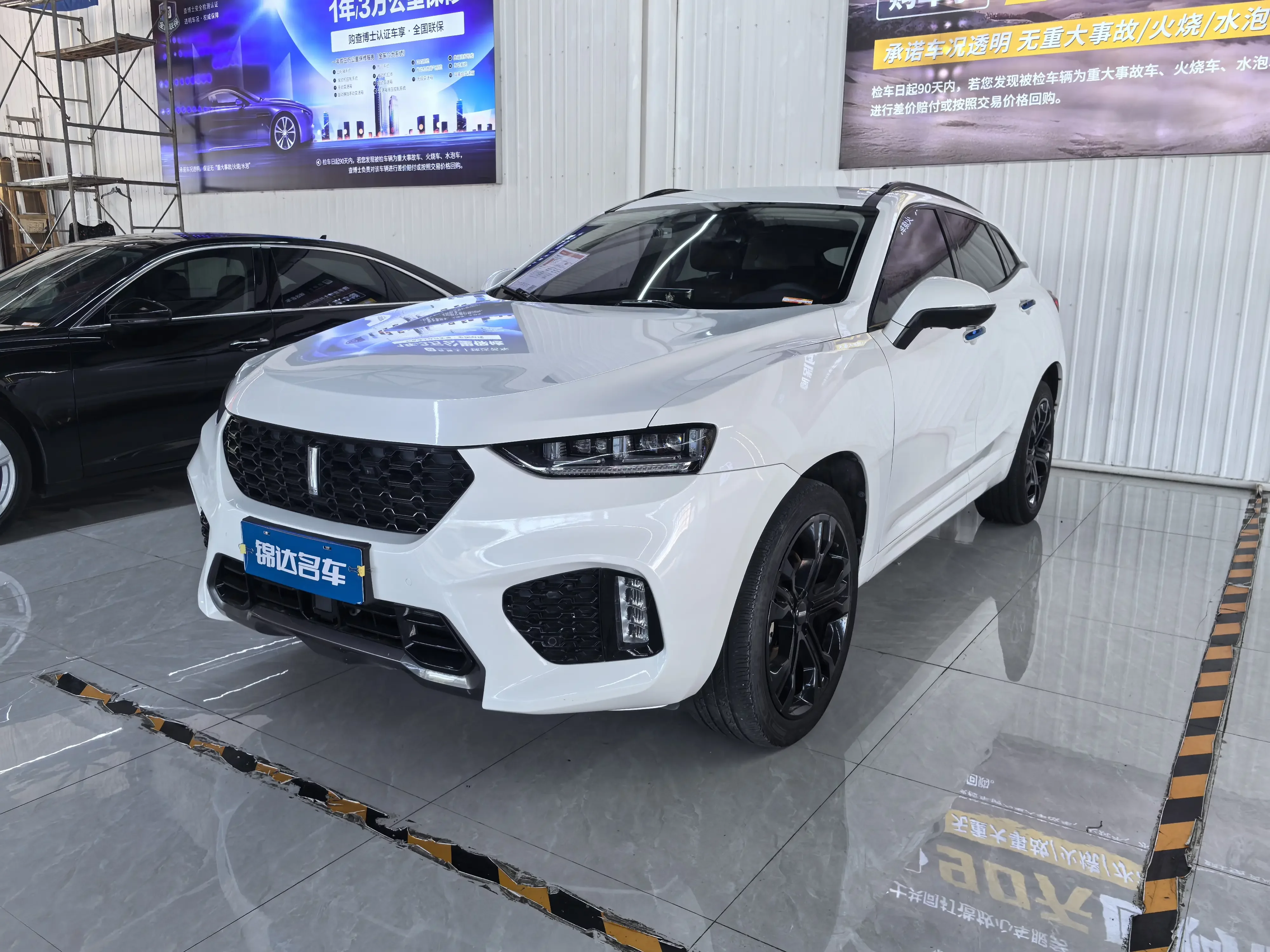 Wey Wei brand VV7