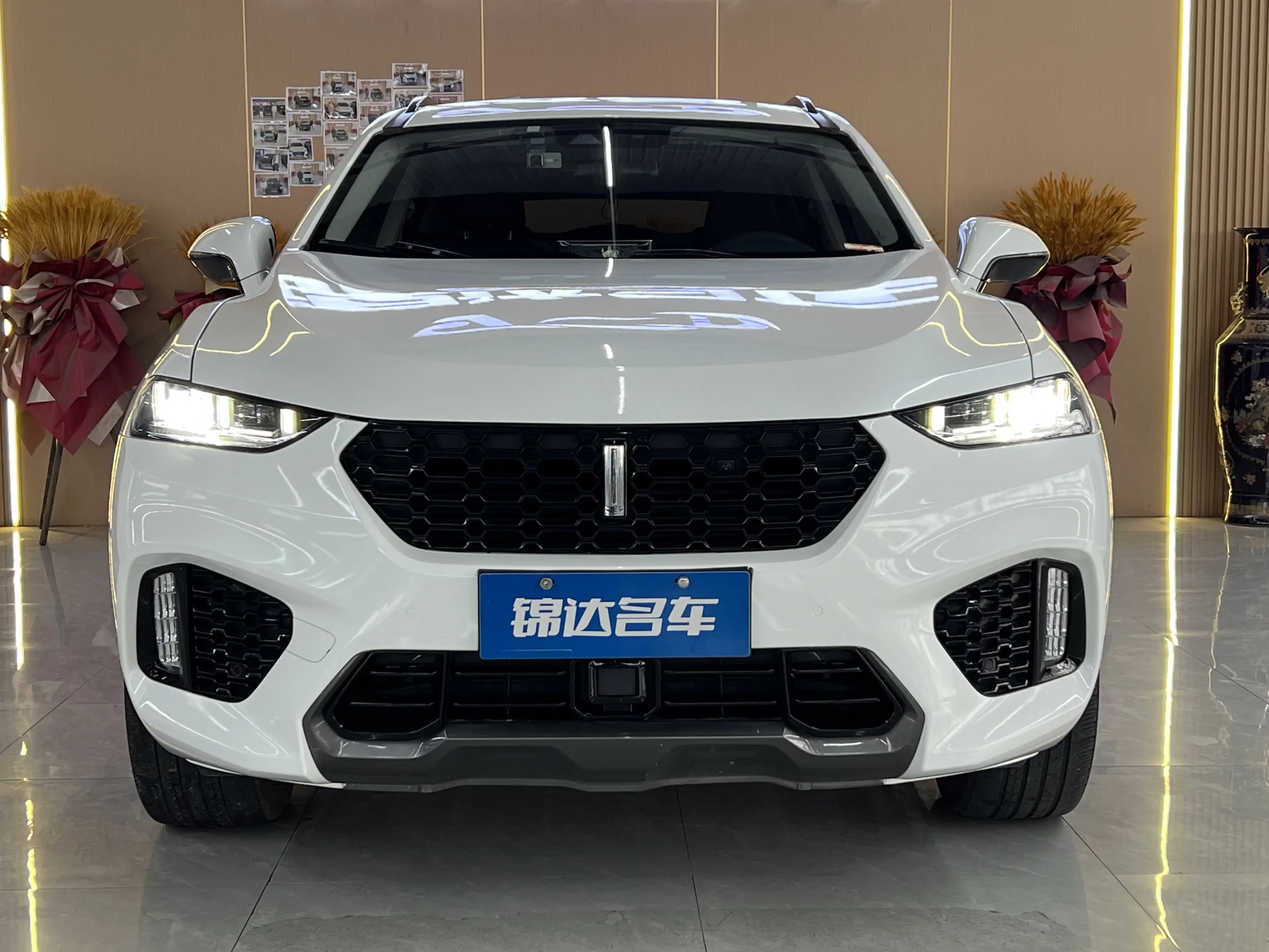 Wey Wei brand VV7