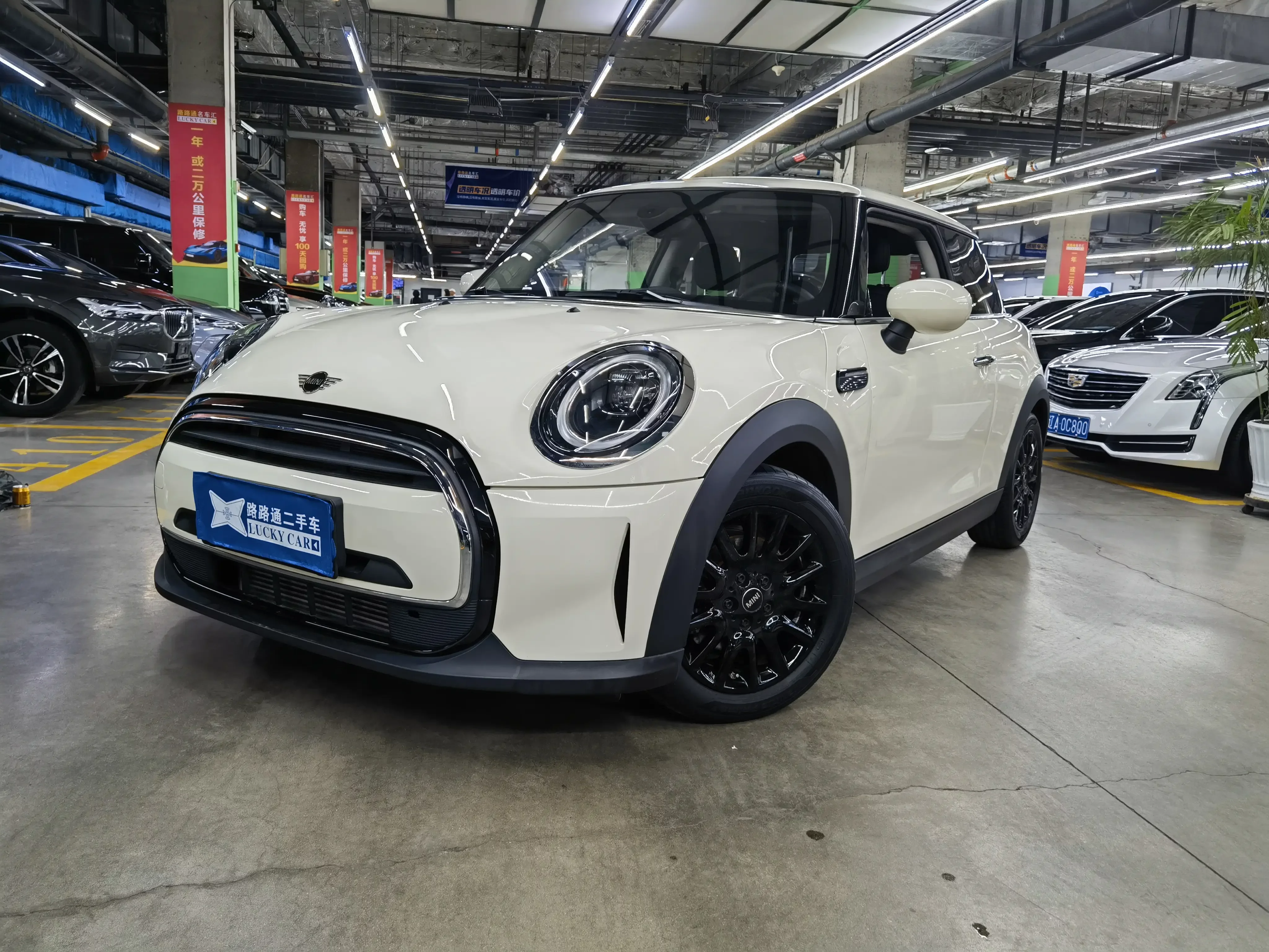 MINI MINI