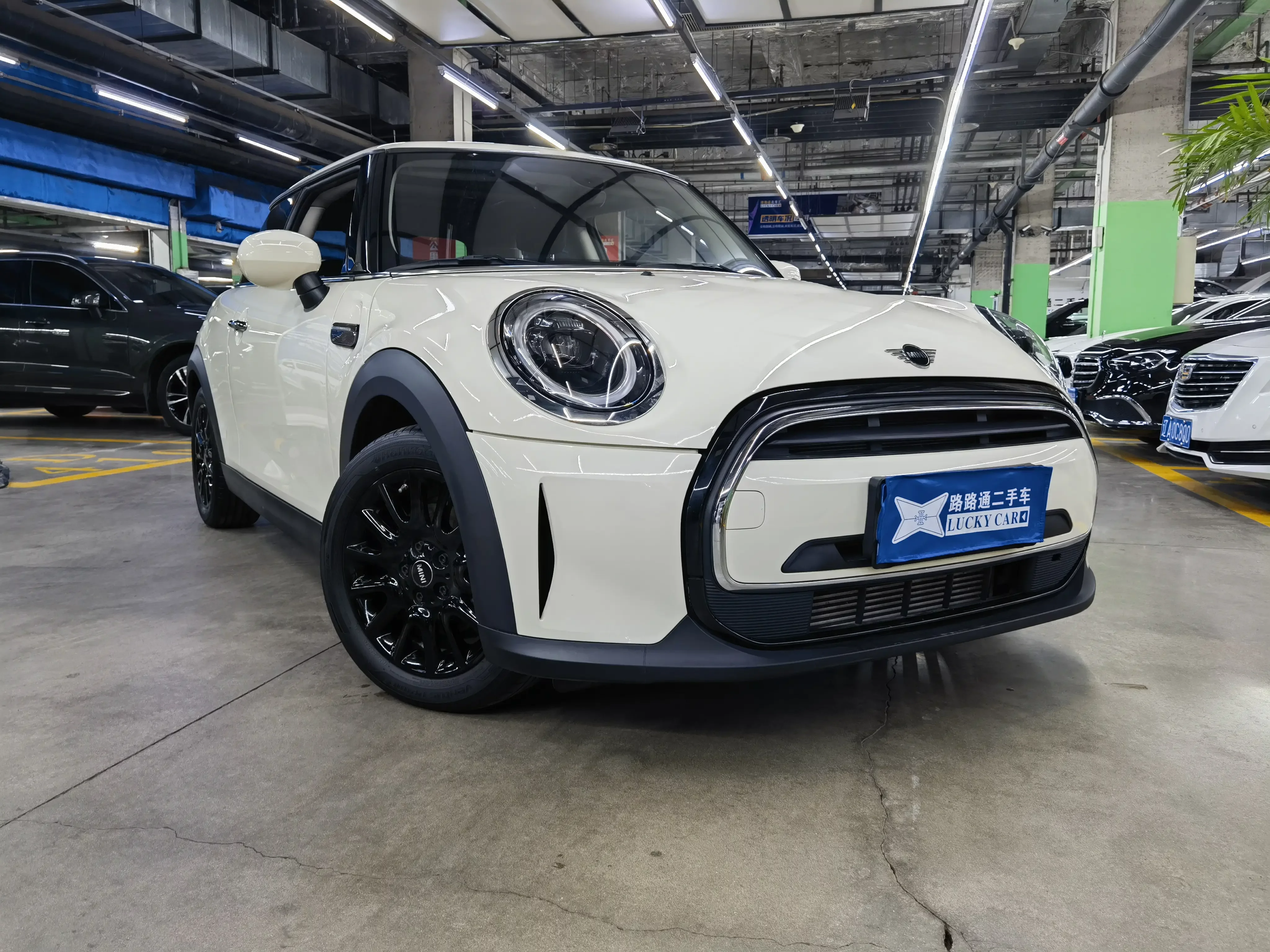 MINI MINI