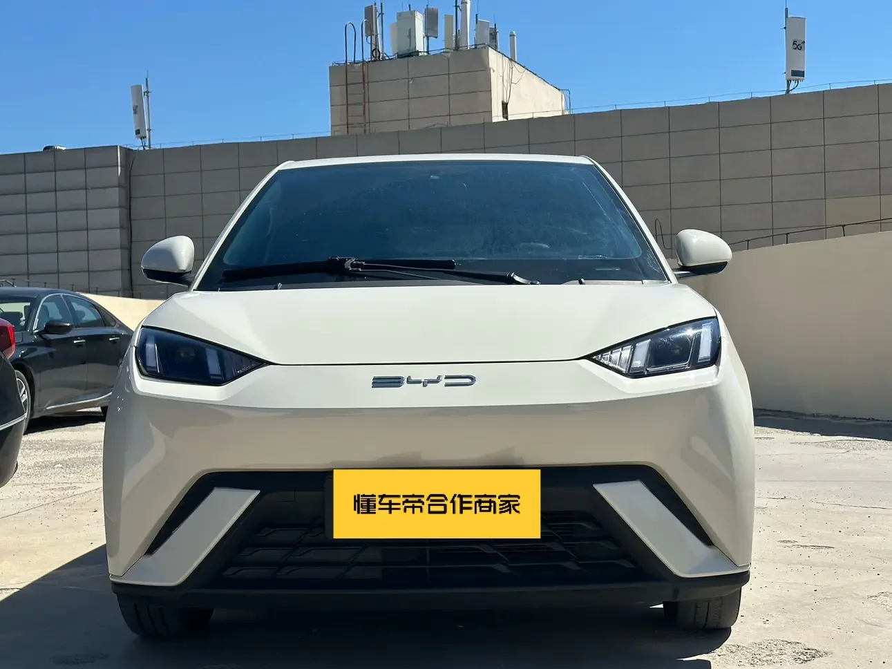 BYD Seagull