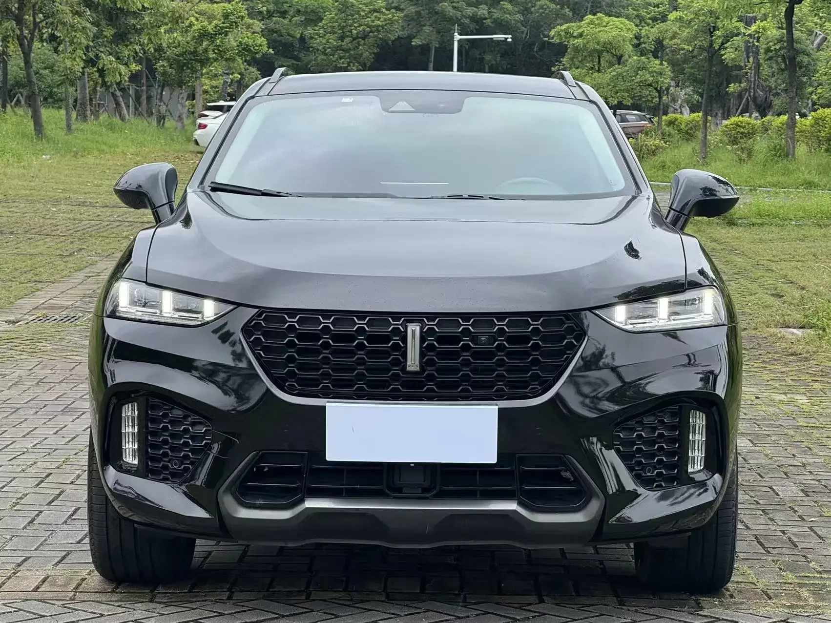 Wey Wei brand VV7