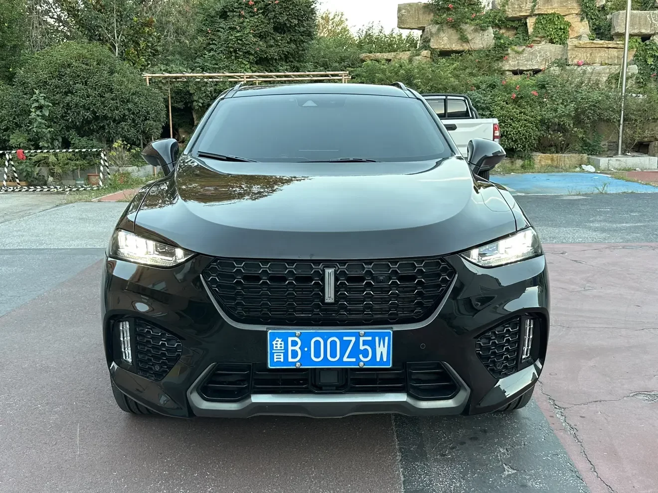 Wey Wei brand VV7