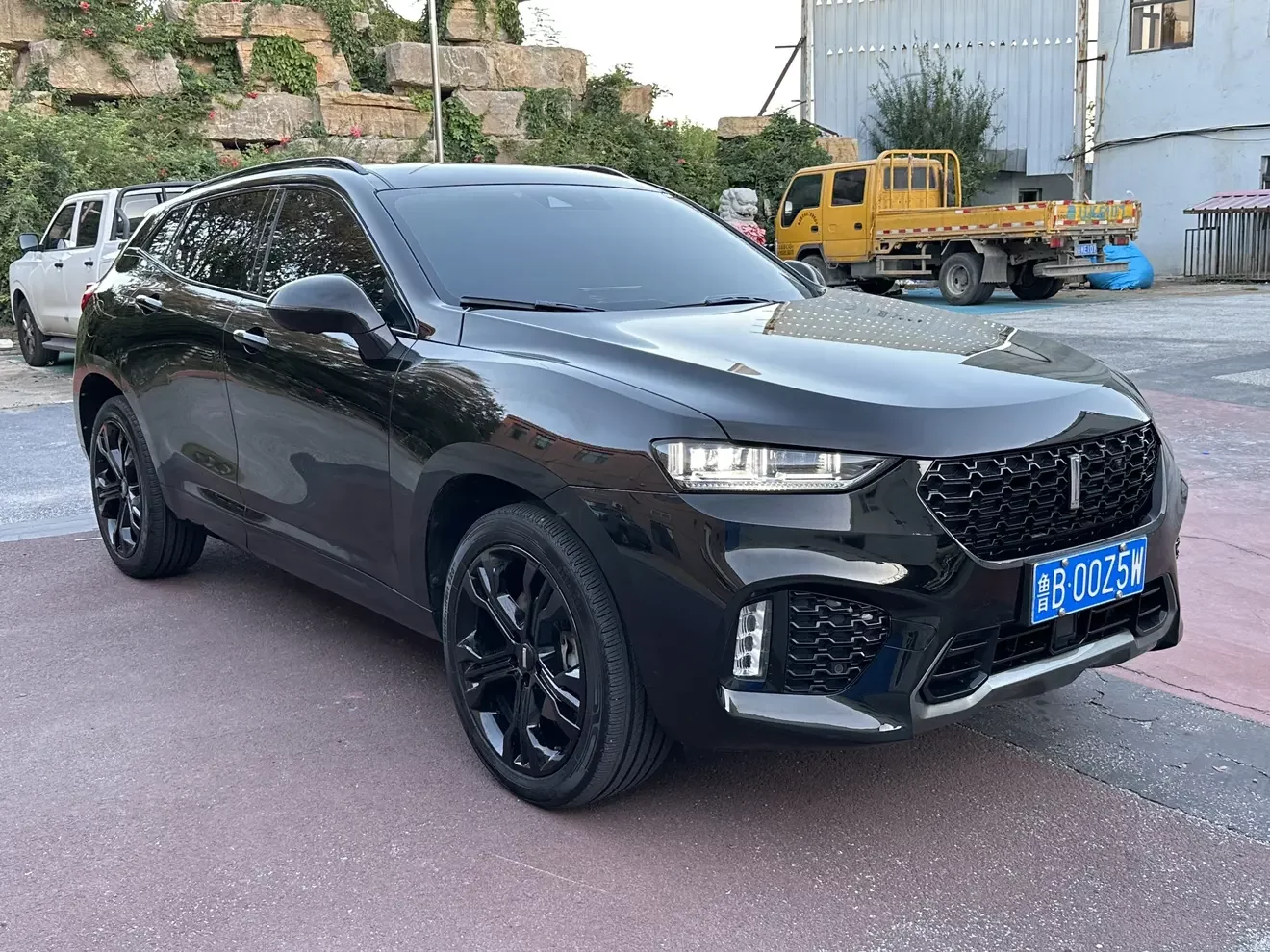 Wey Wei brand VV7