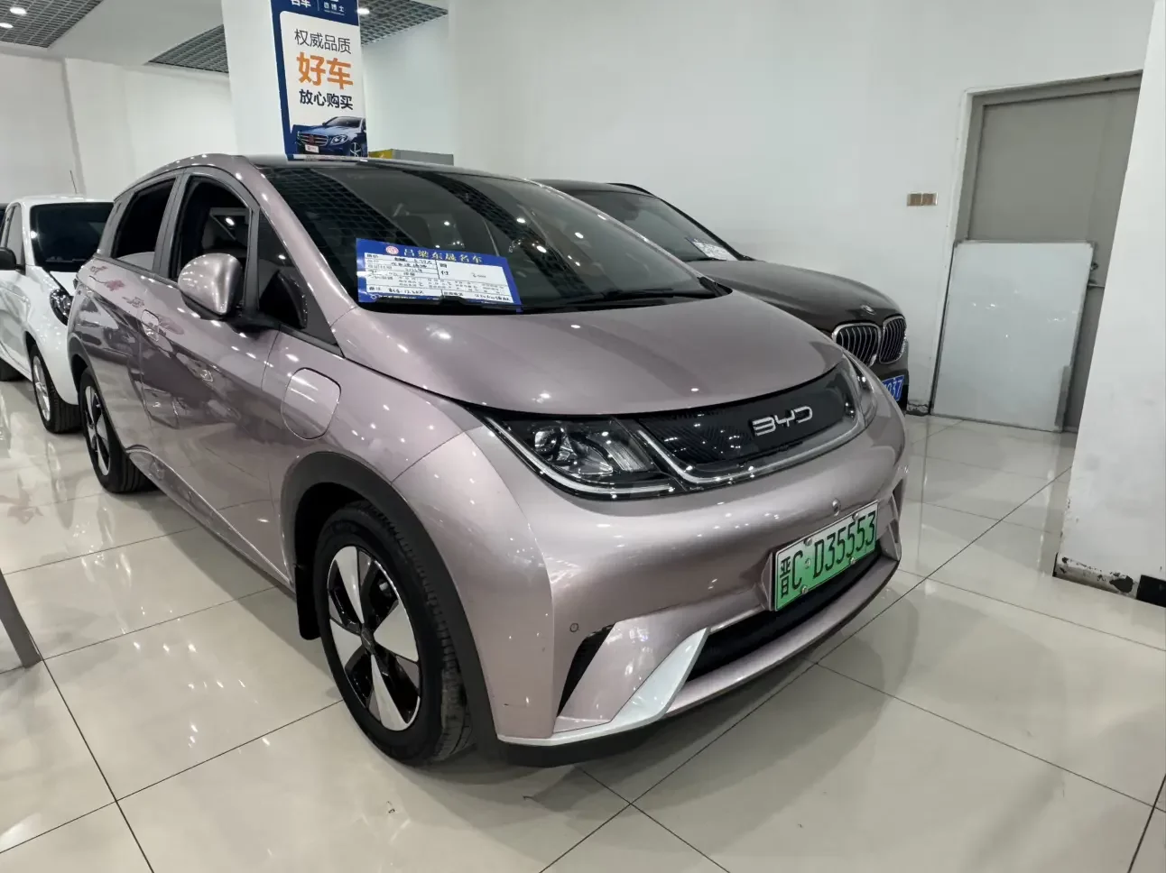 BYD Dolphin