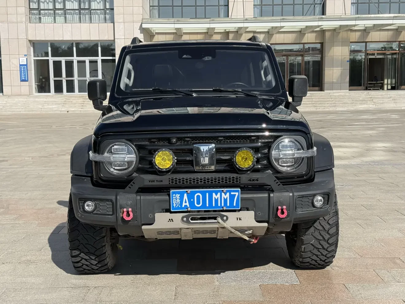 TANK 300