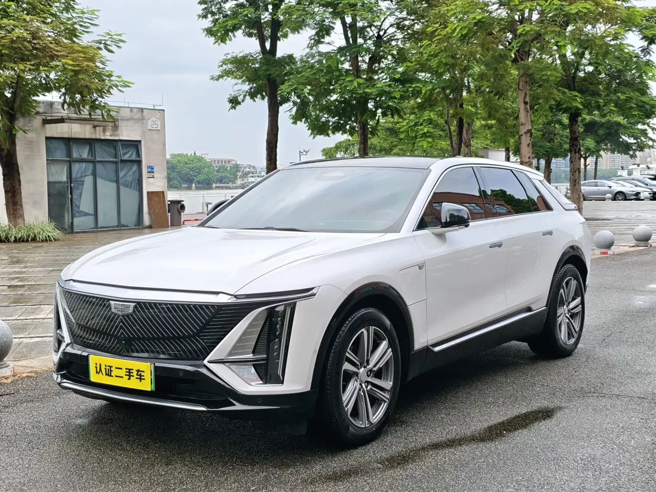Cadillac IQ Ruige