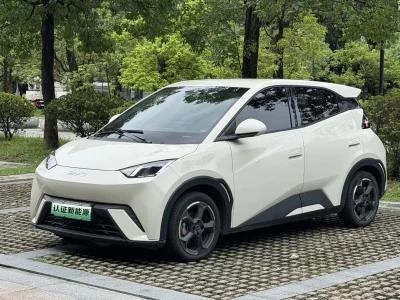 BYD Seagull