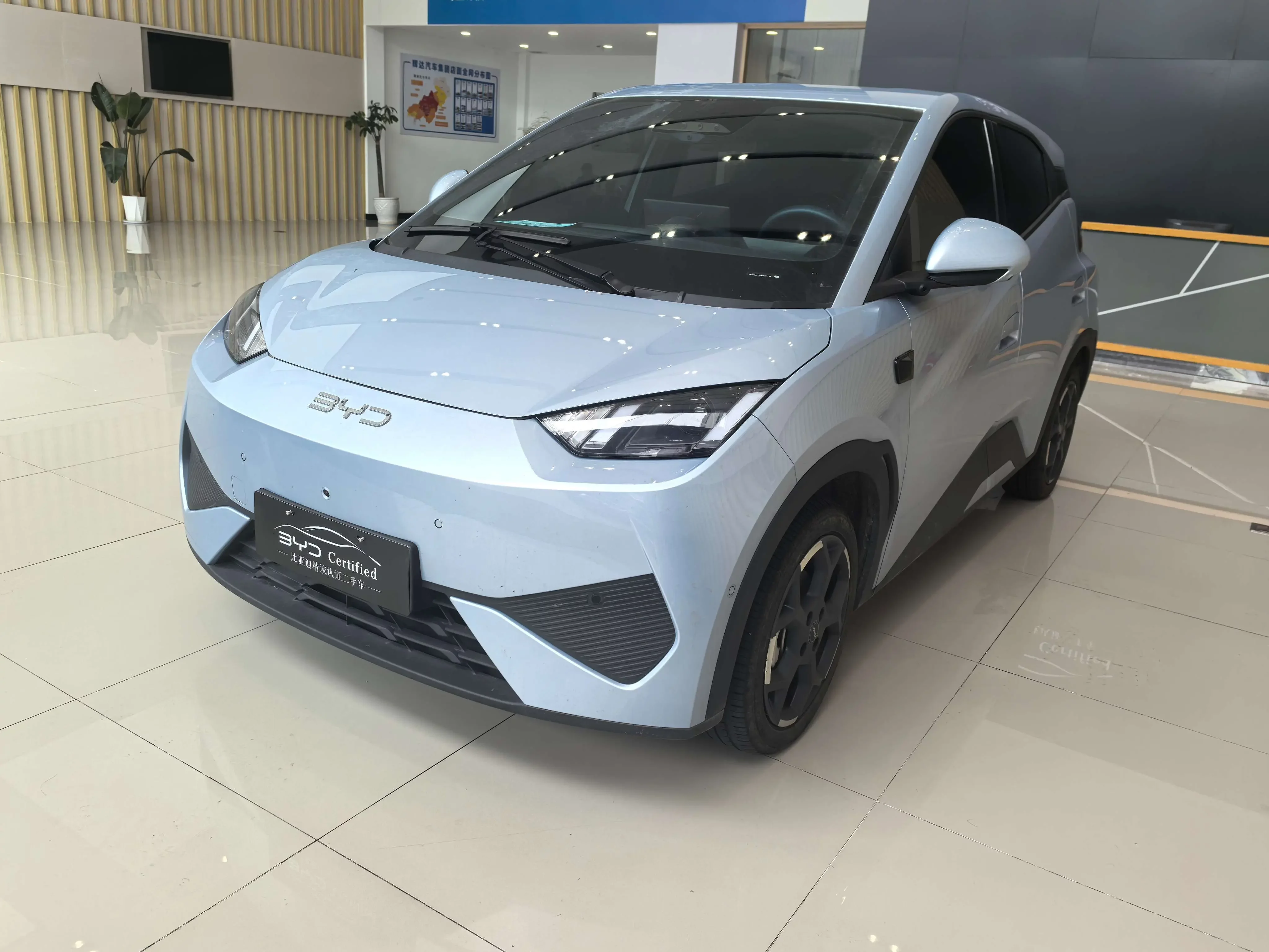 BYD Seagull