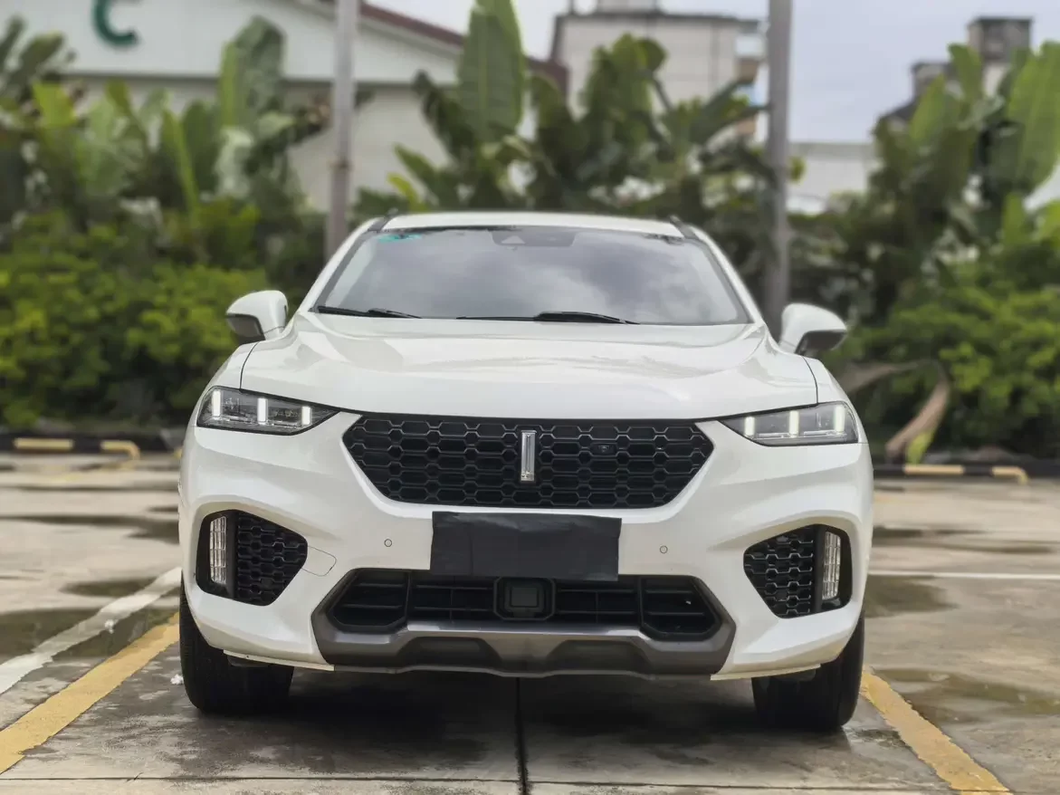 Wey Wei brand VV7