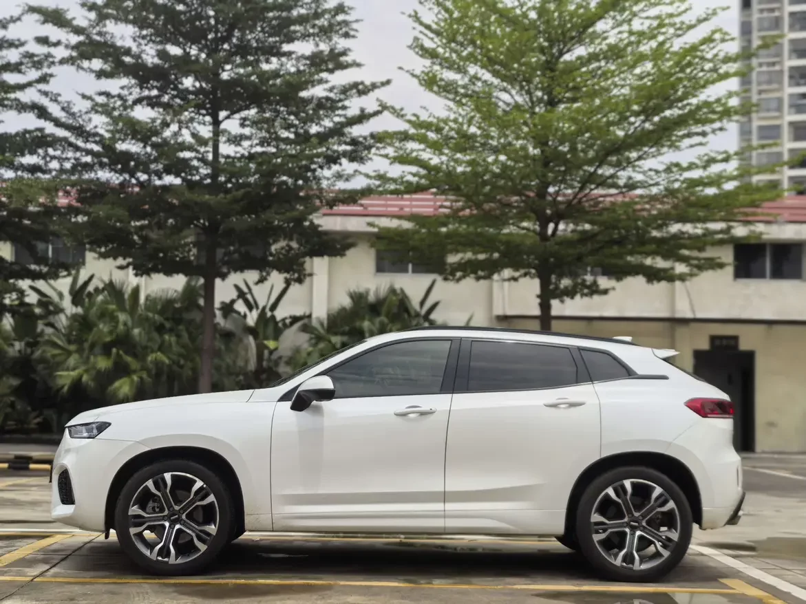 Wey Wei brand VV7