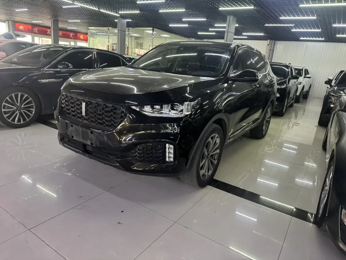 Wey Wei brand VV6