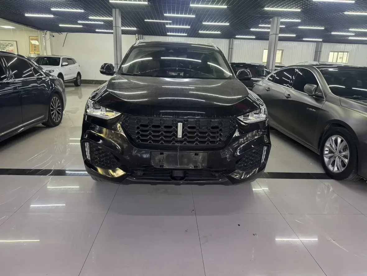 Wey Wei brand VV6