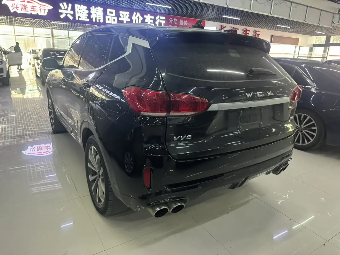 Wey Wei brand VV6
