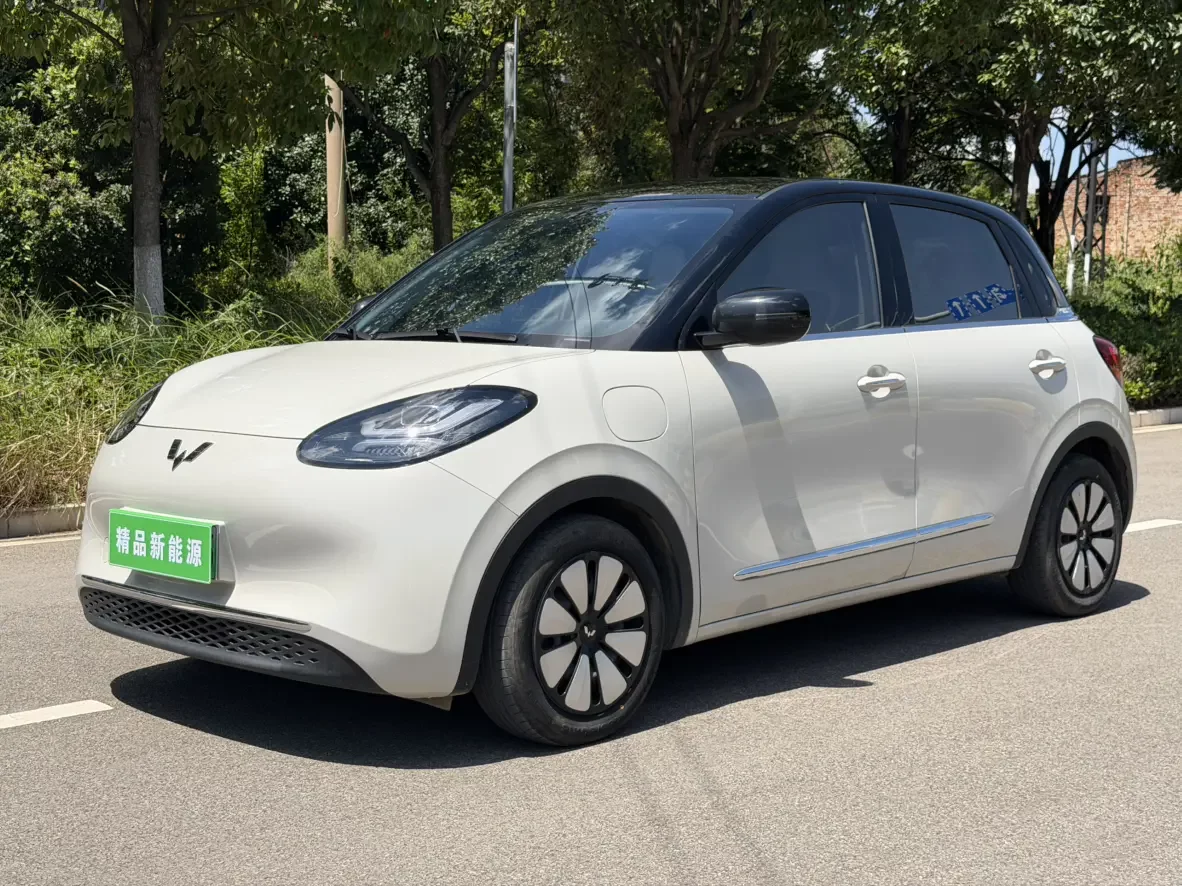 Wuling Bingo