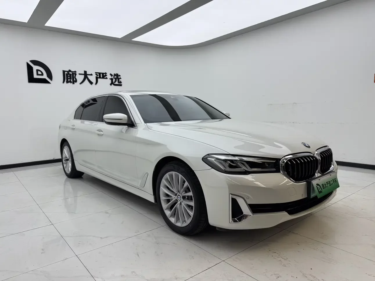 BMW 5 Series PHEV