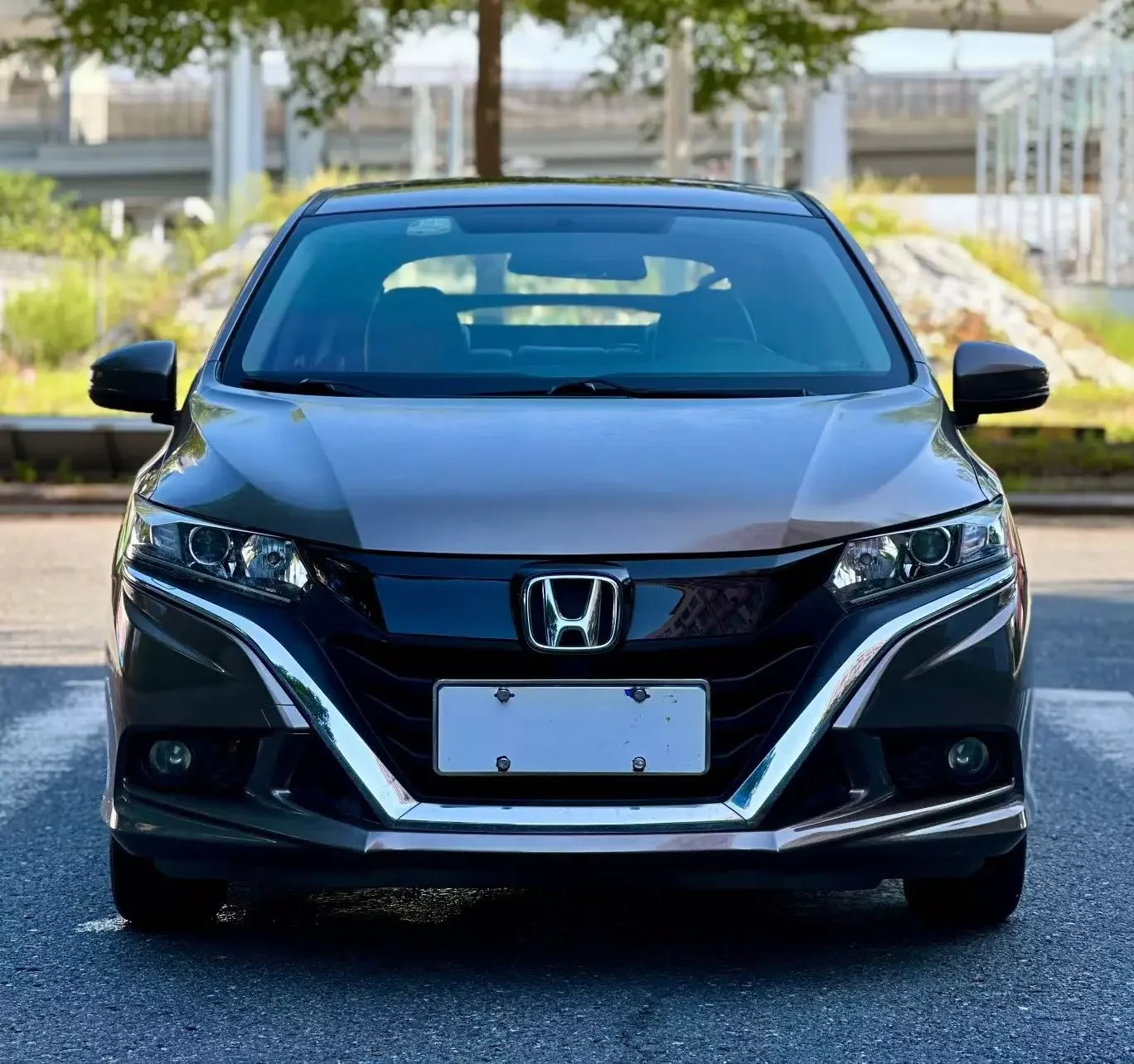 Honda Gienia