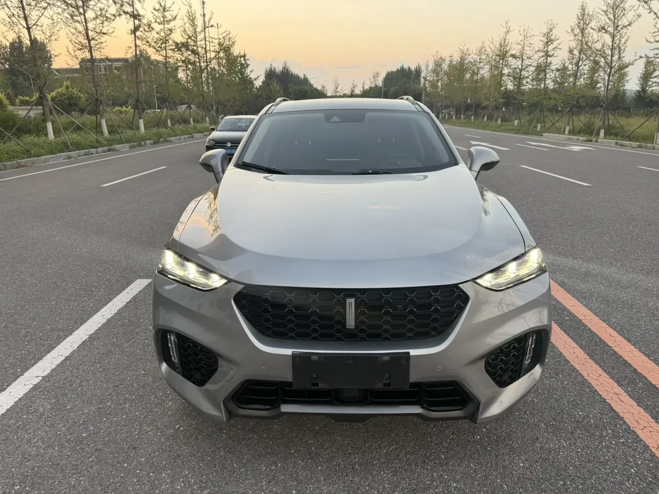 Wey Wei brand VV7