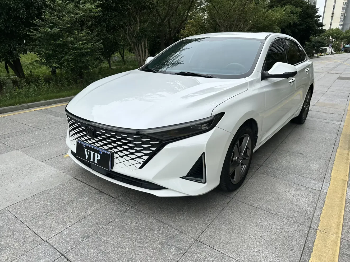 Changan Raeton Plus