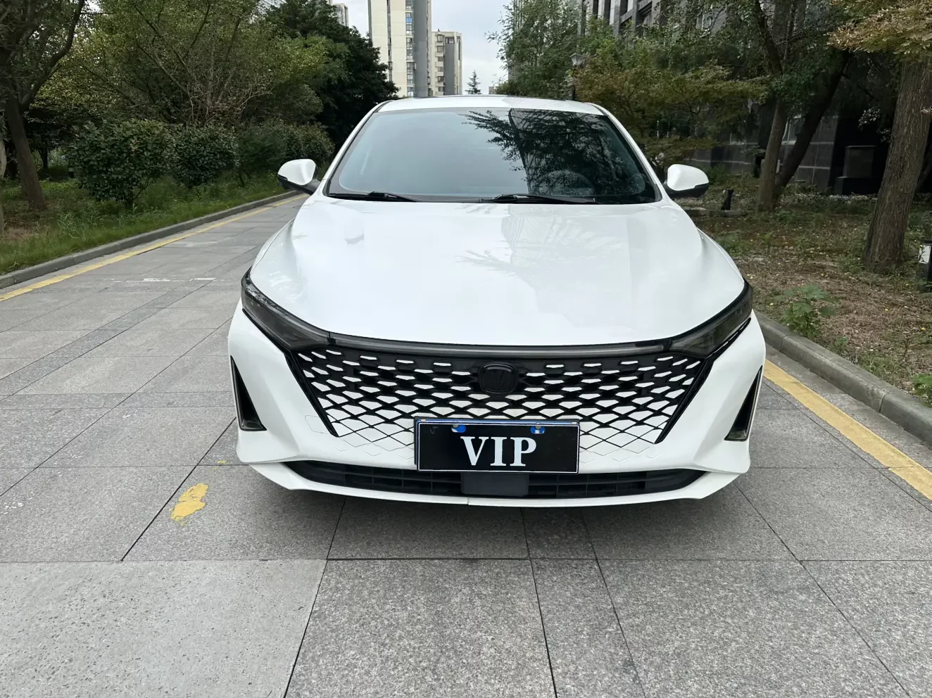 Changan Raeton Plus