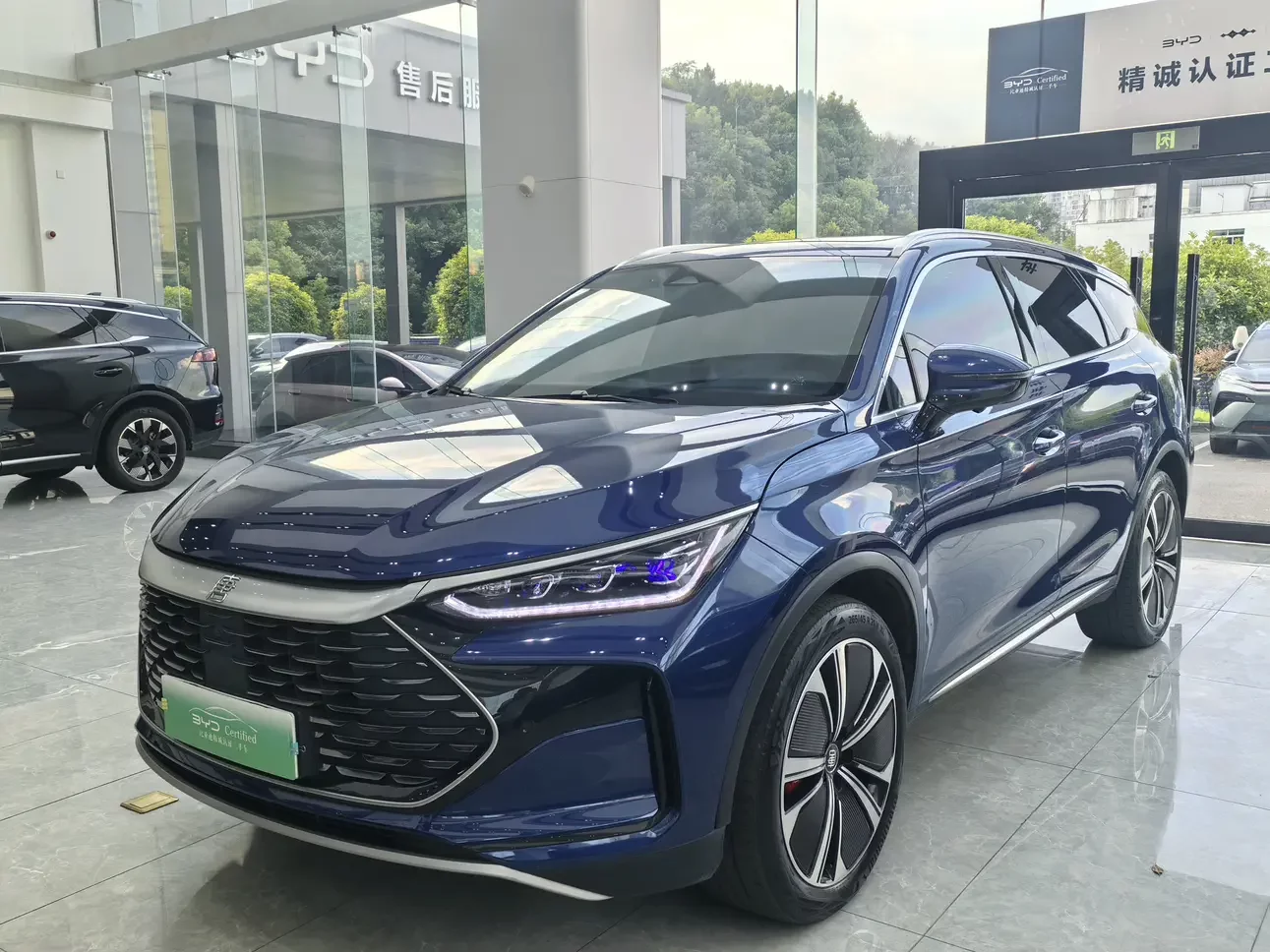 BYD Tang DM