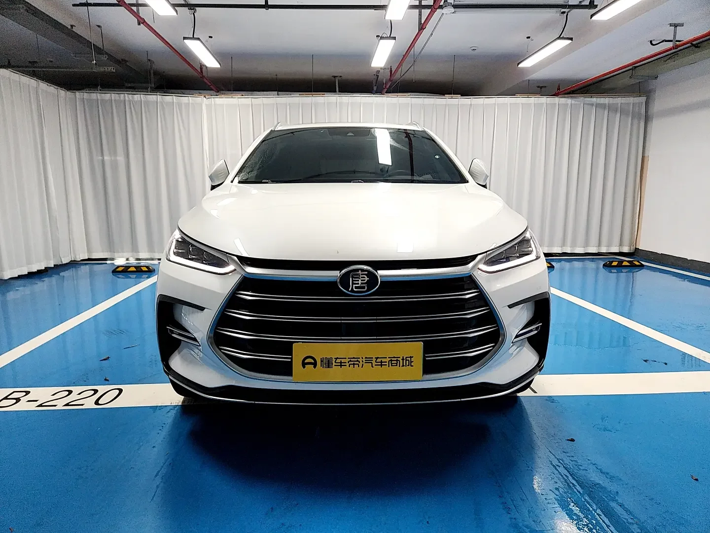 BYD Tang DM