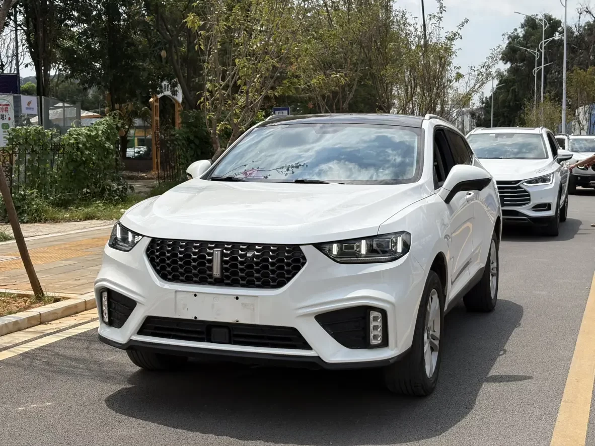 Wey Wei brand VV5