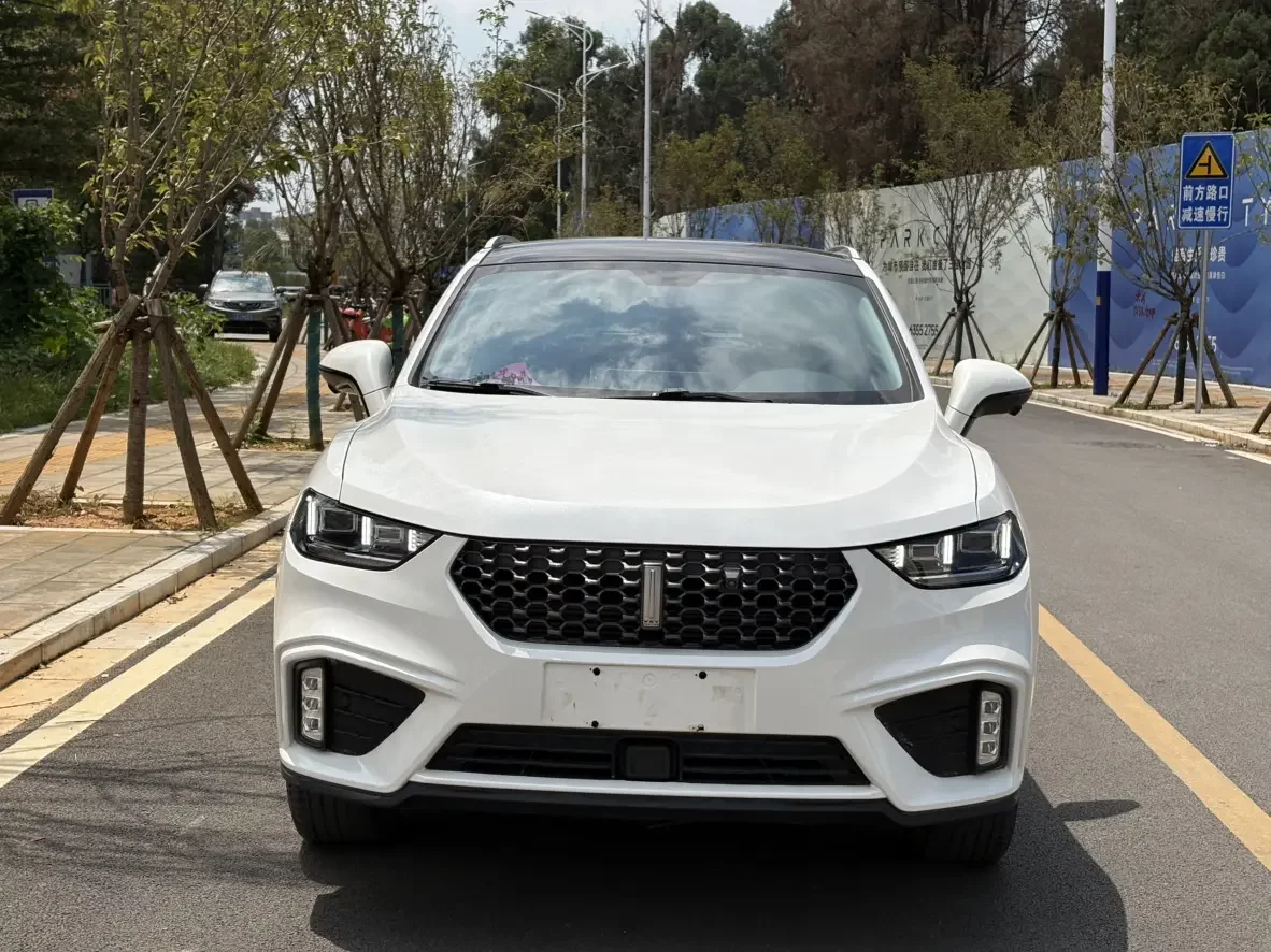 Wey Wei brand VV5