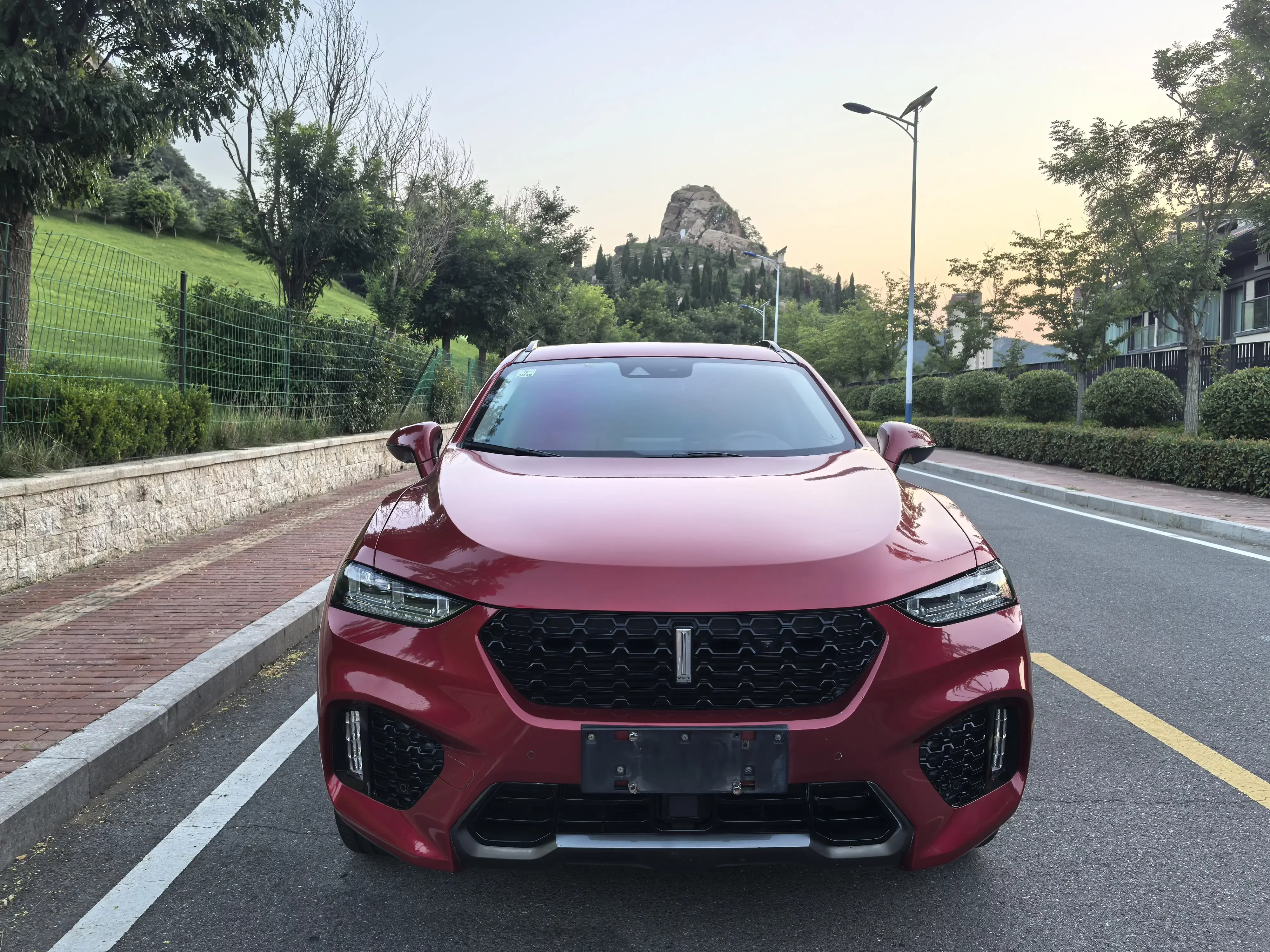 Wey Wei brand VV7