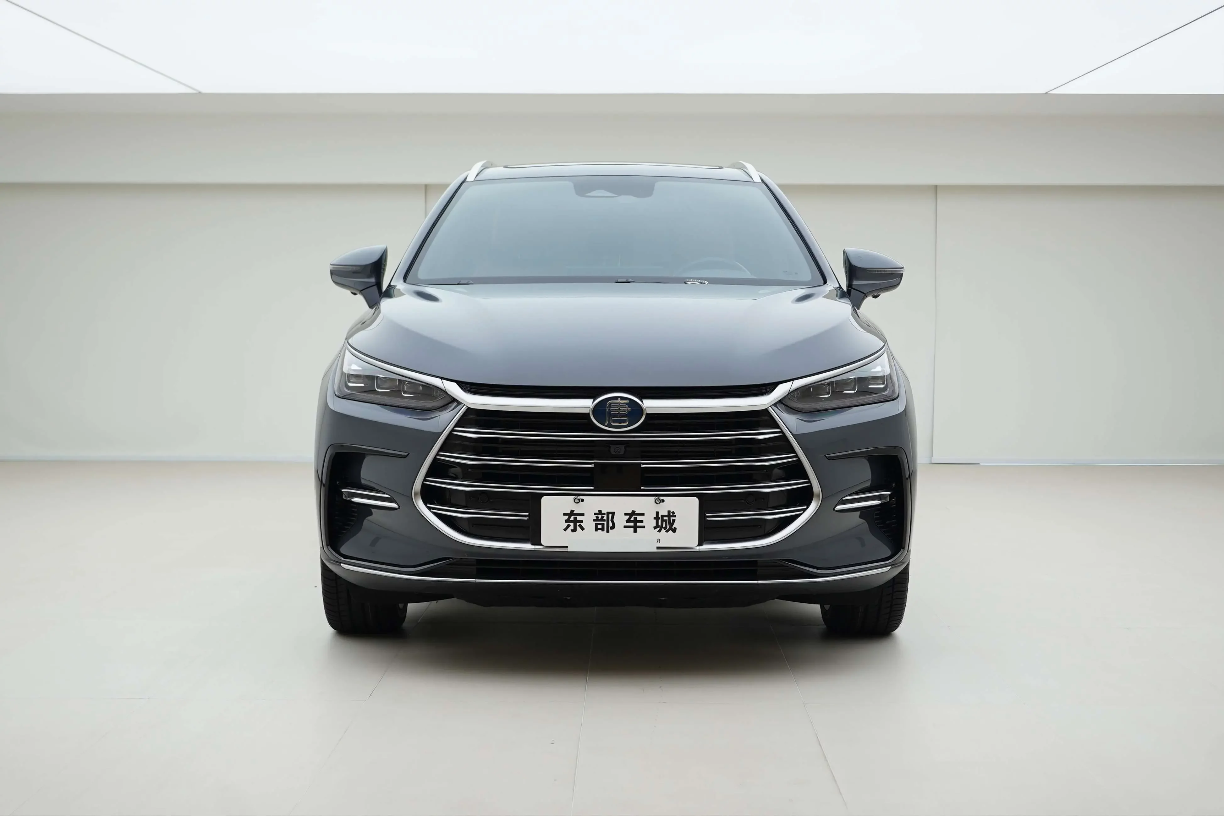 BYD Tang DM