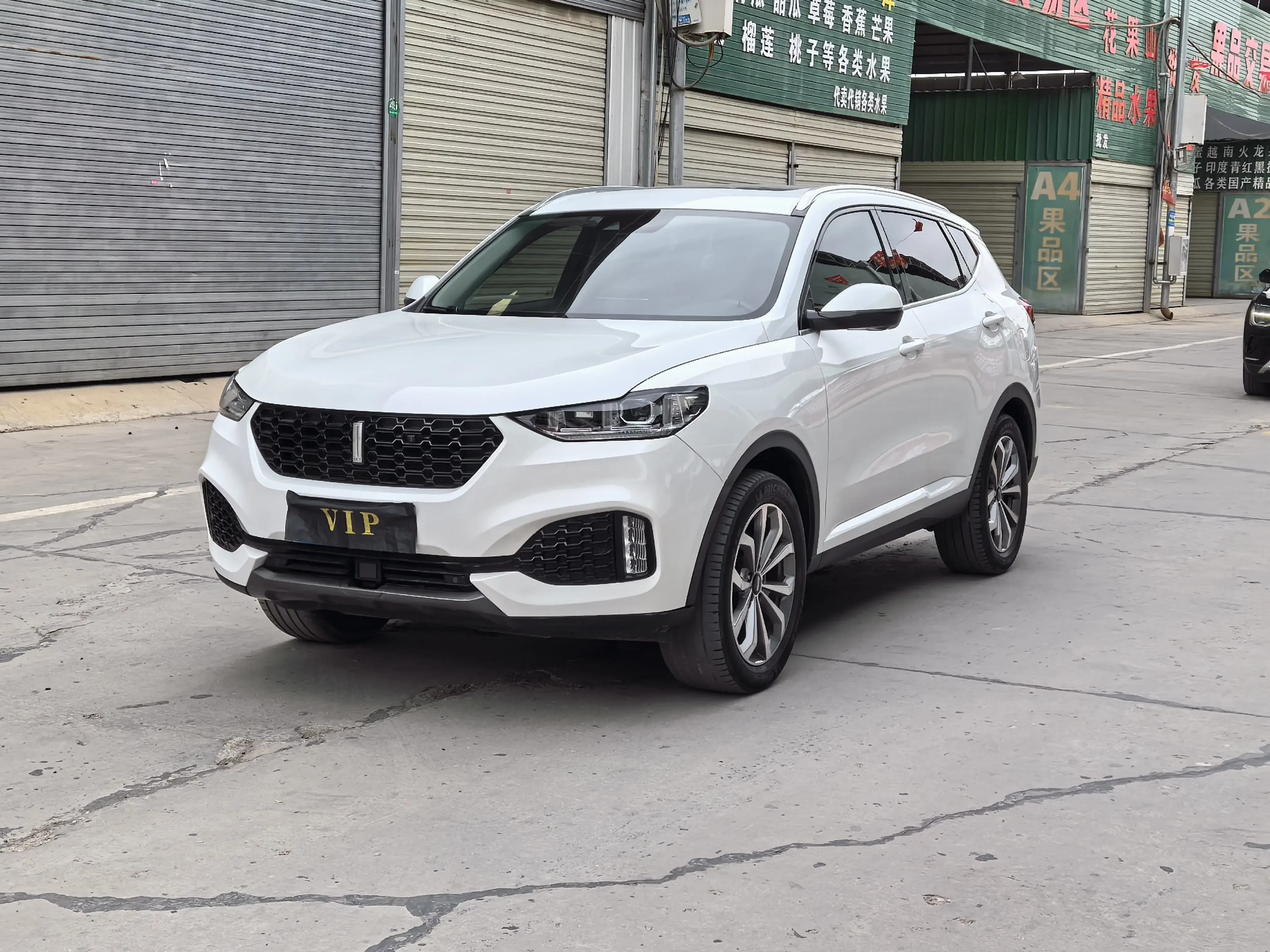 Wey Wei brand VV6