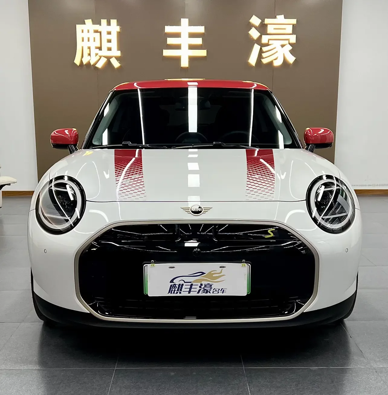 MINI ELECTRIC MINI COOPER