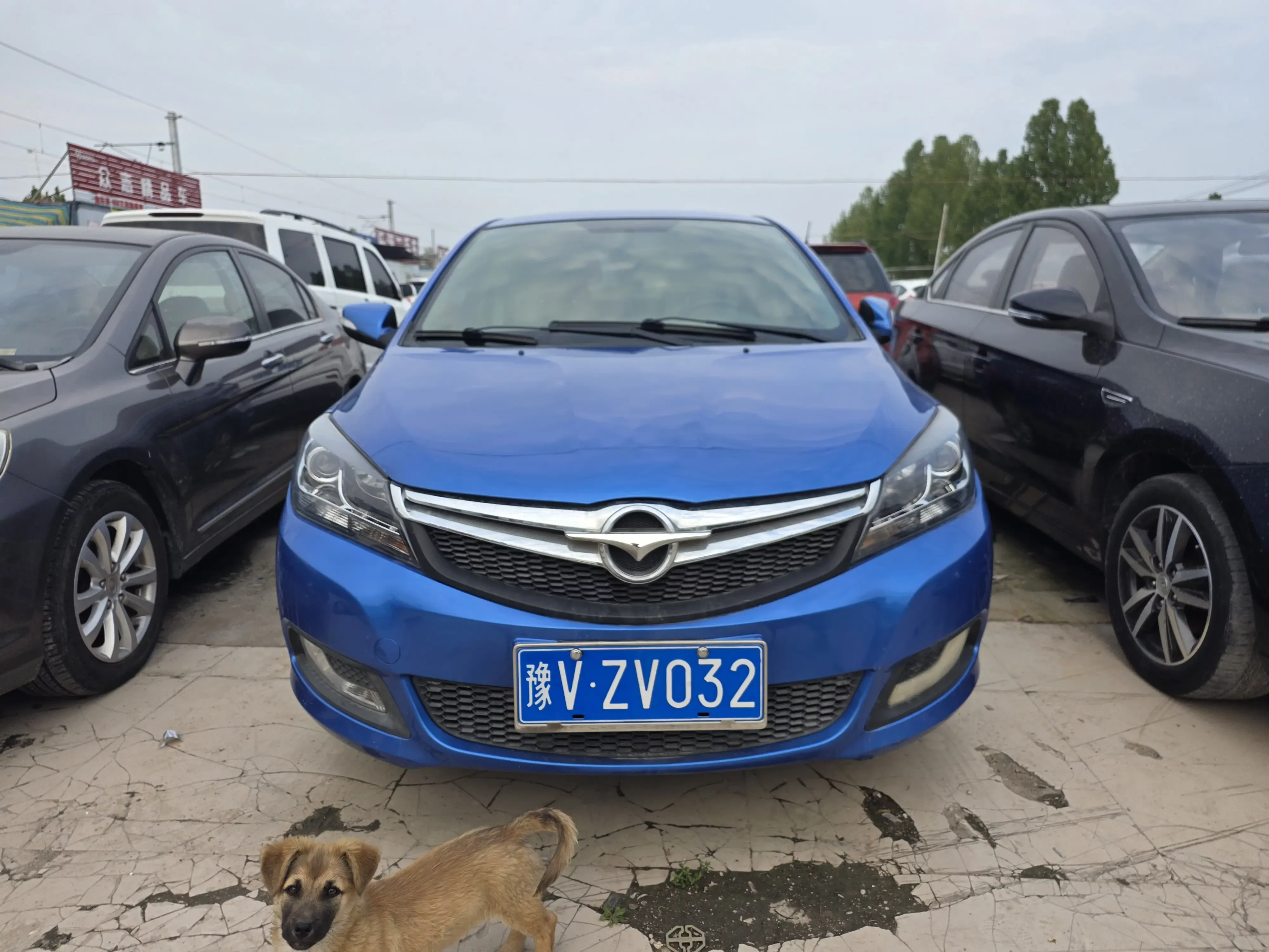 HAIMA M3