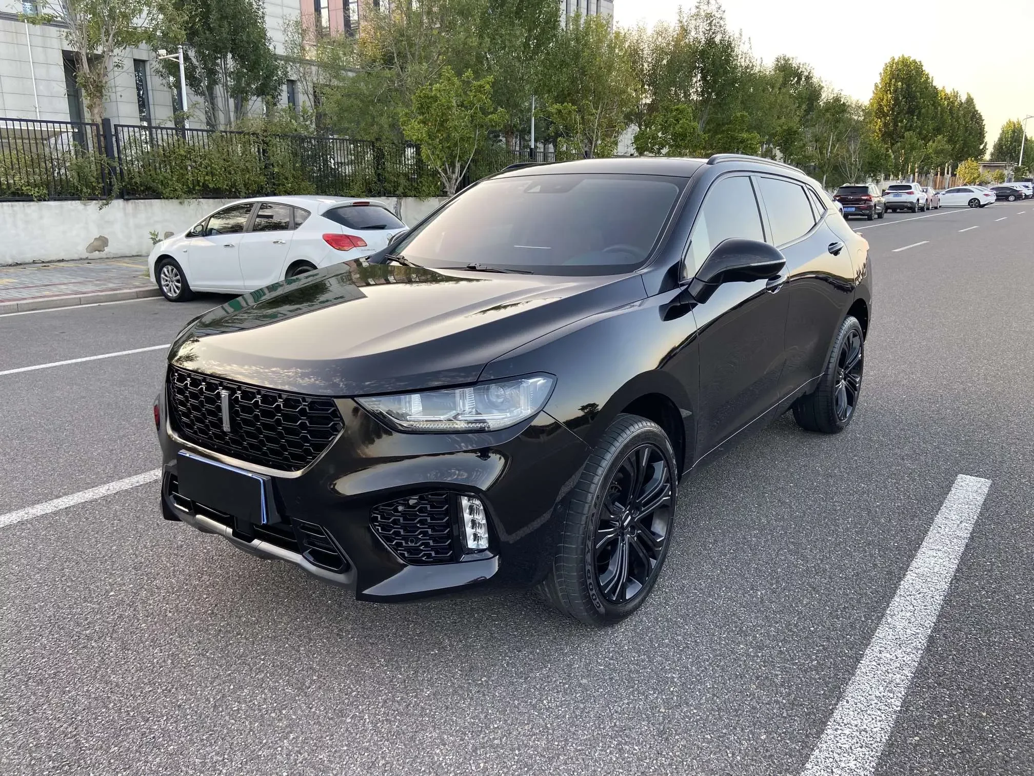 Wey Wei brand VV5