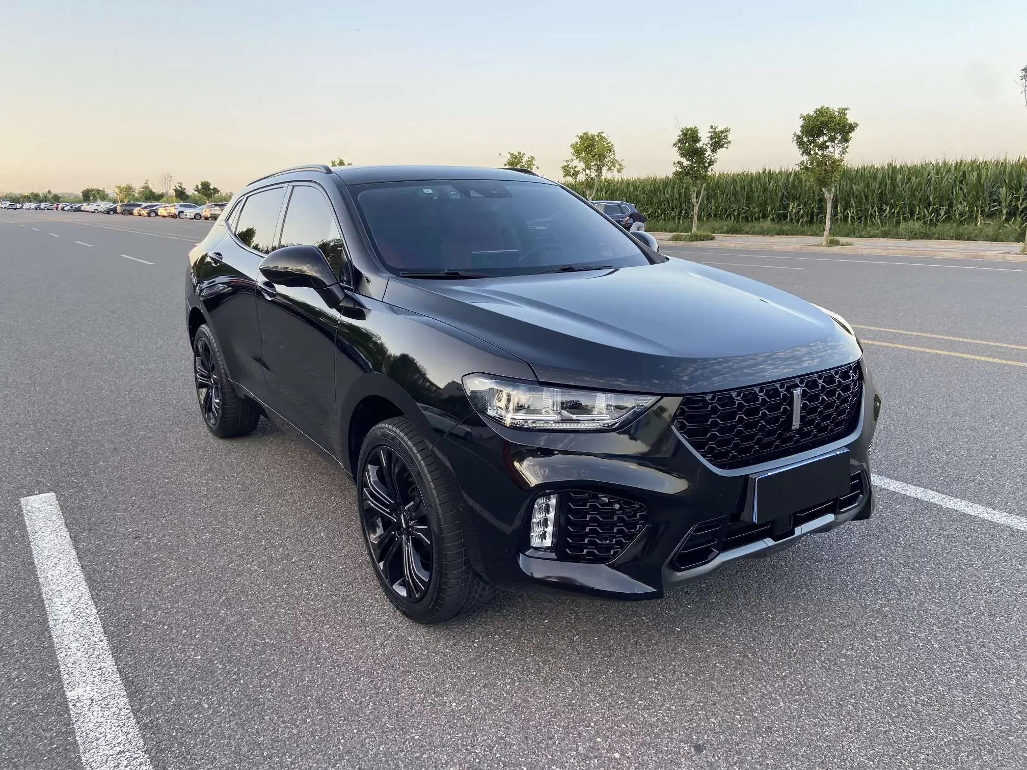 Wey Wei brand VV5