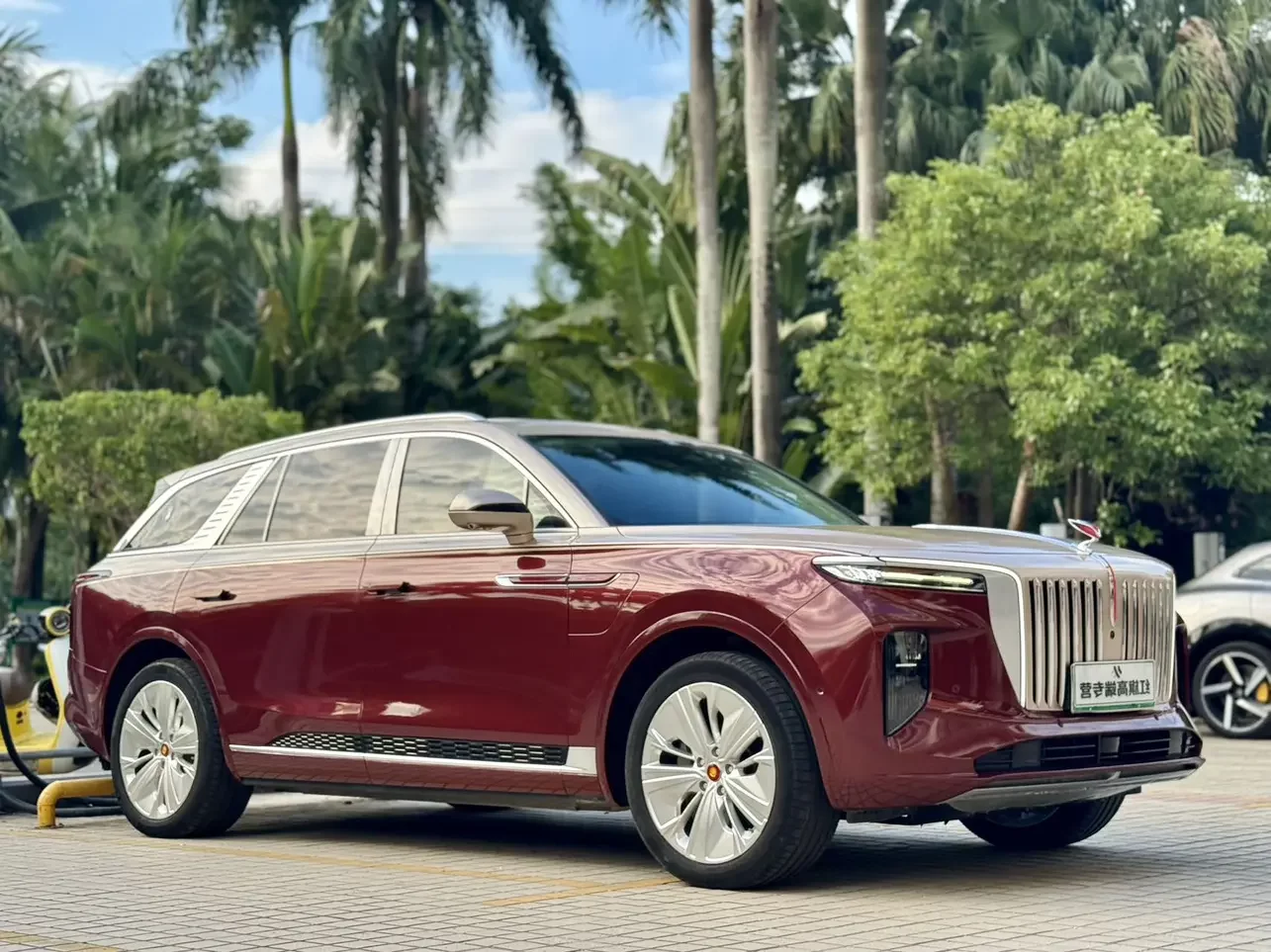 Hongqi E-HS9