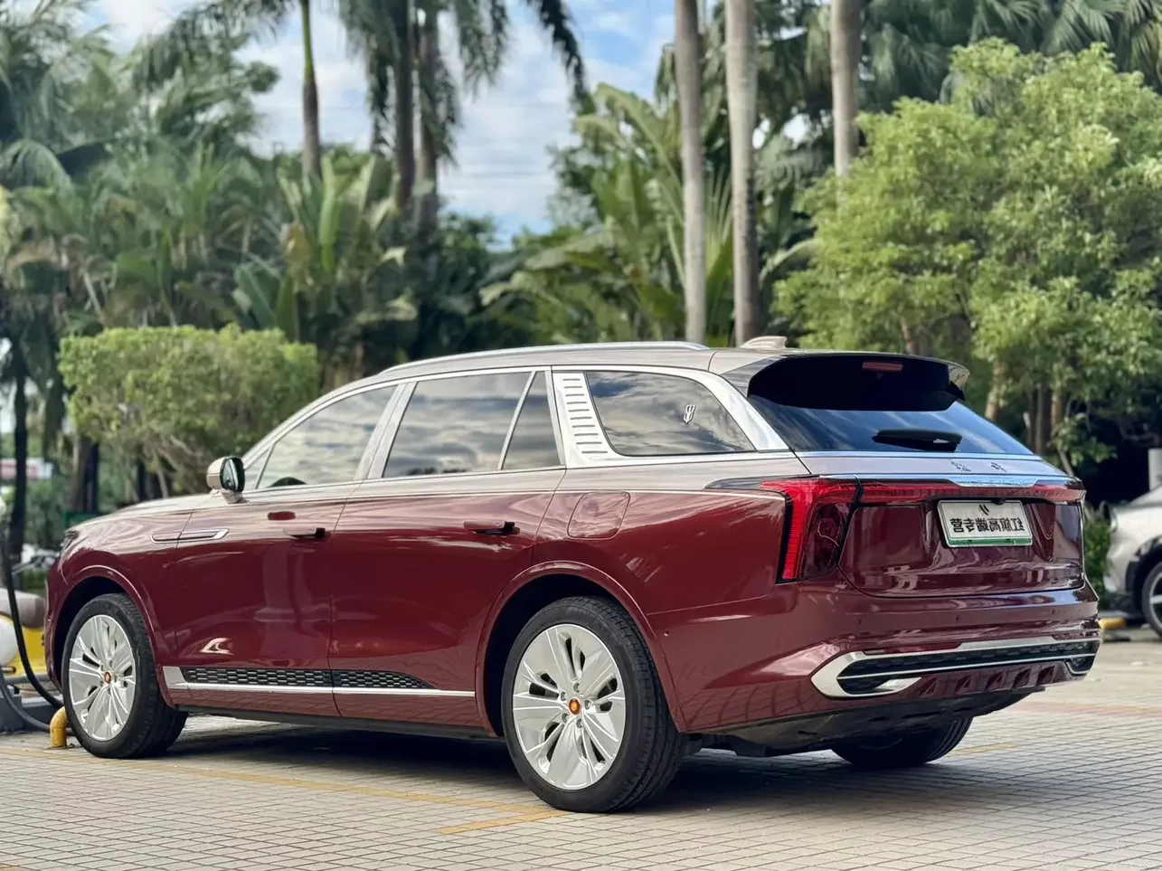 Hongqi E-HS9